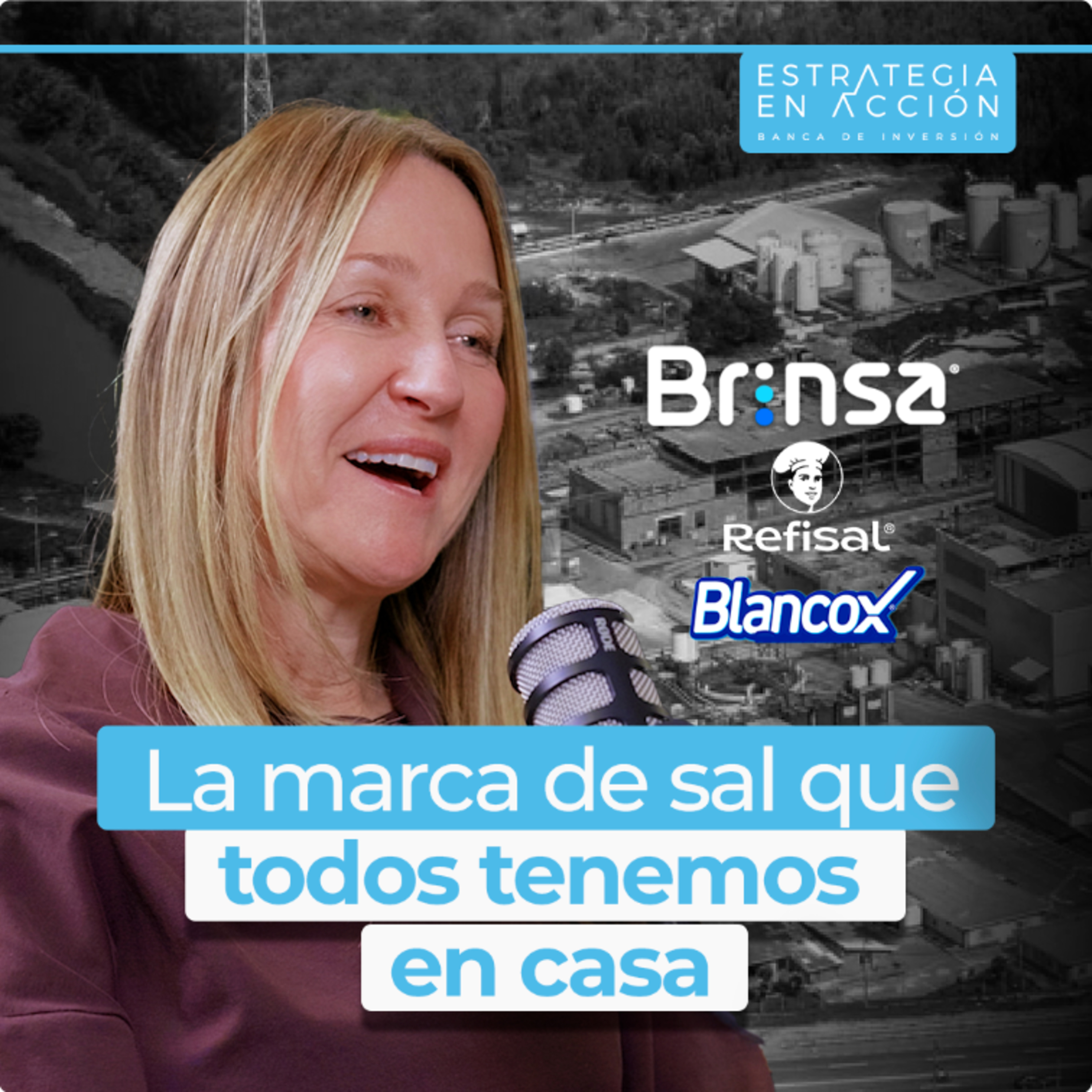 BRINSA | Compramos una empresa quebrada y hoy vendemos más de COP 1 billón | Karen Brazdys