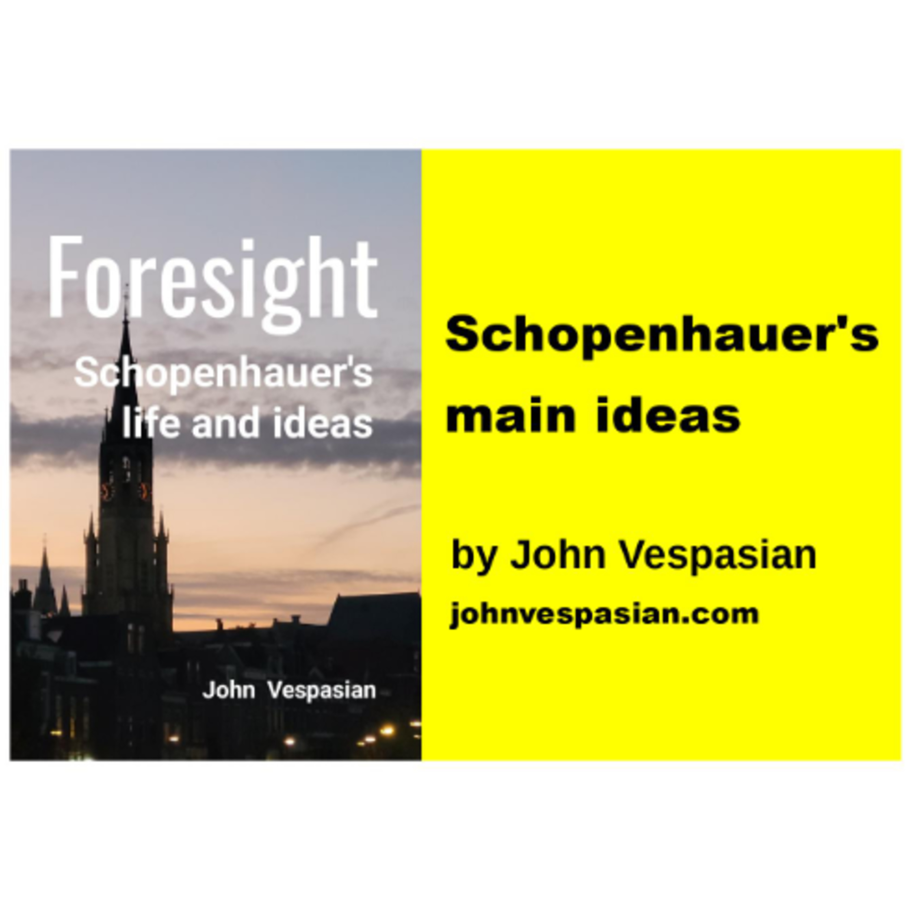 Schopenhauer's main ideas episode artwork