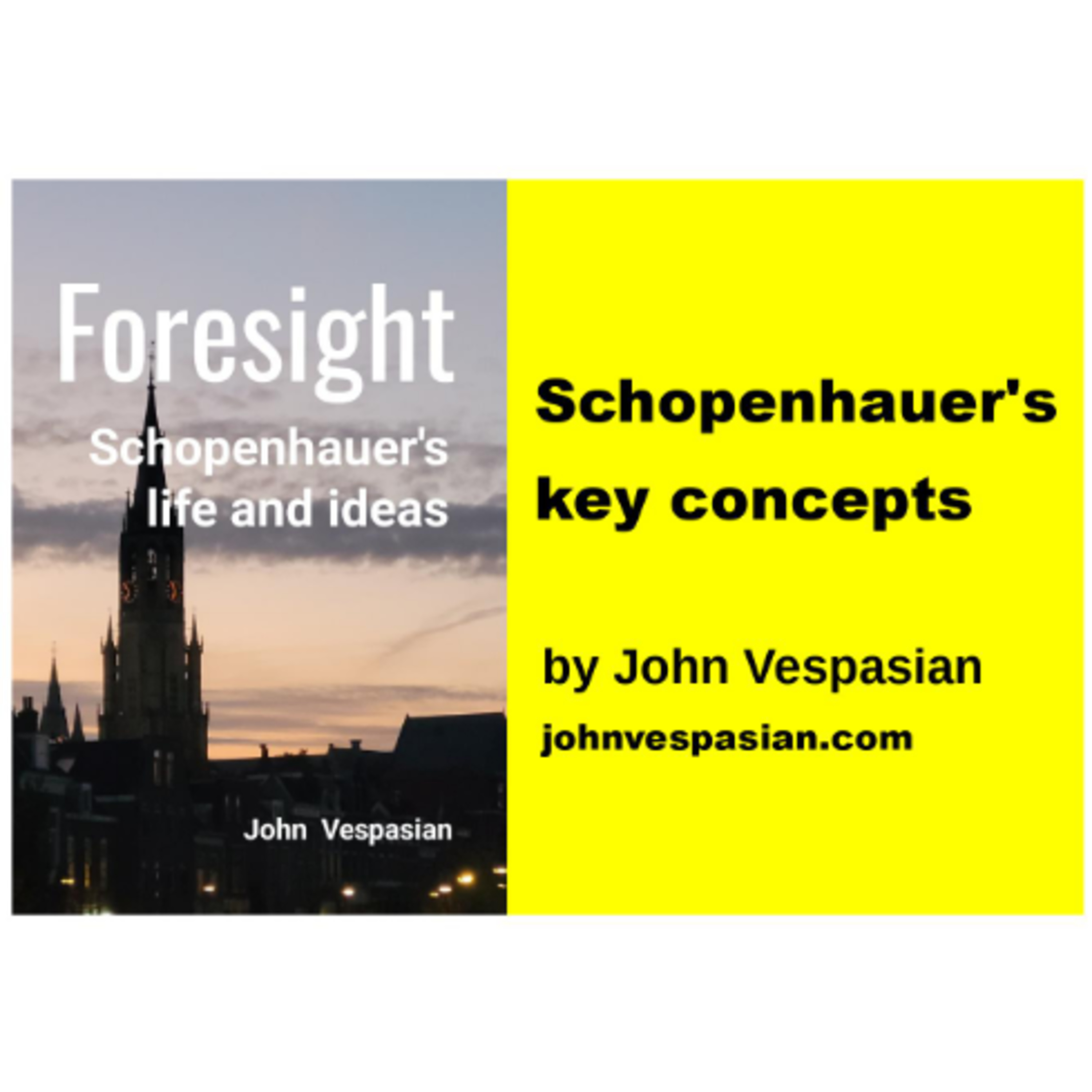 Schopenhauer's key concepts episode artwork