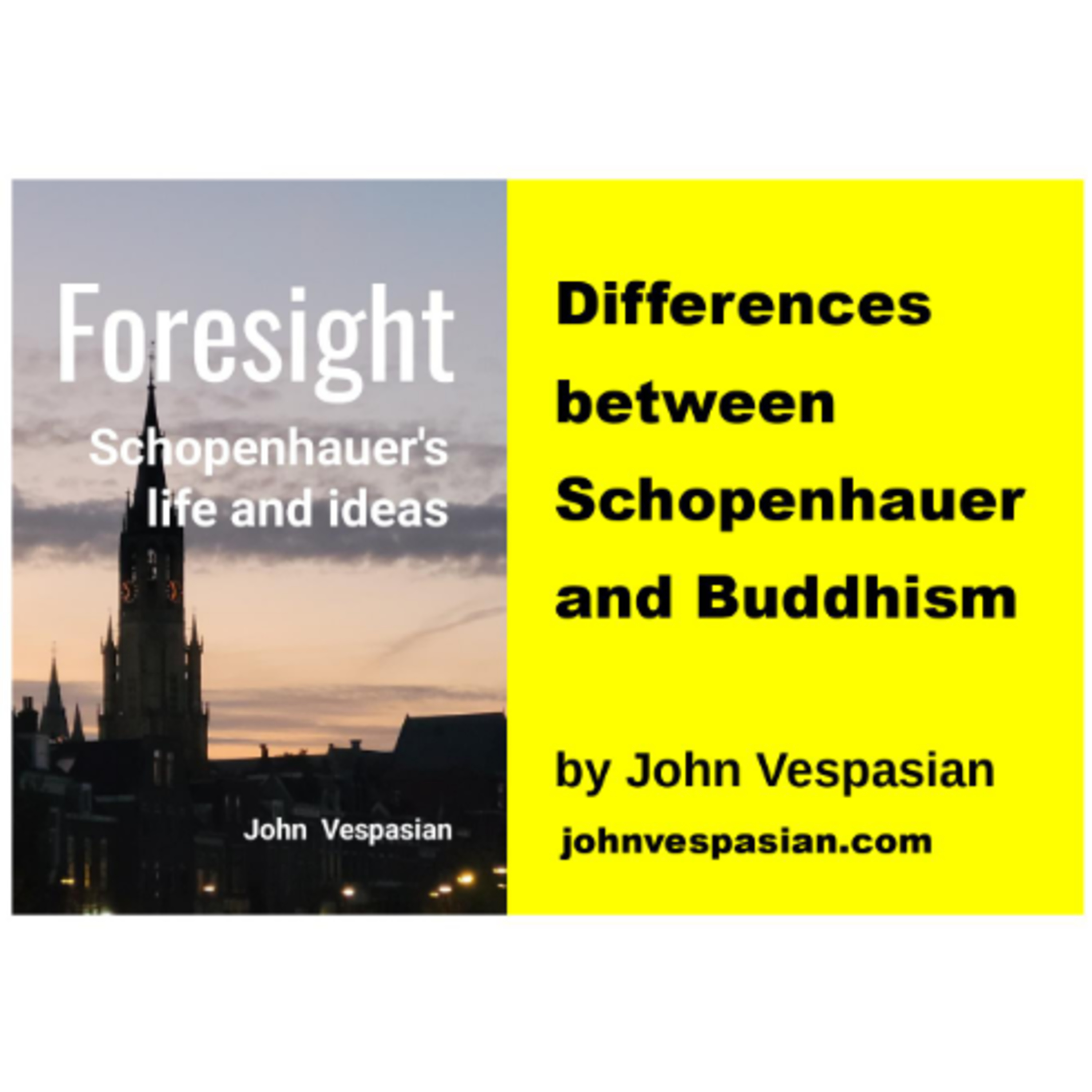 Differences between Schopenhauer and Buddhism episode artwork