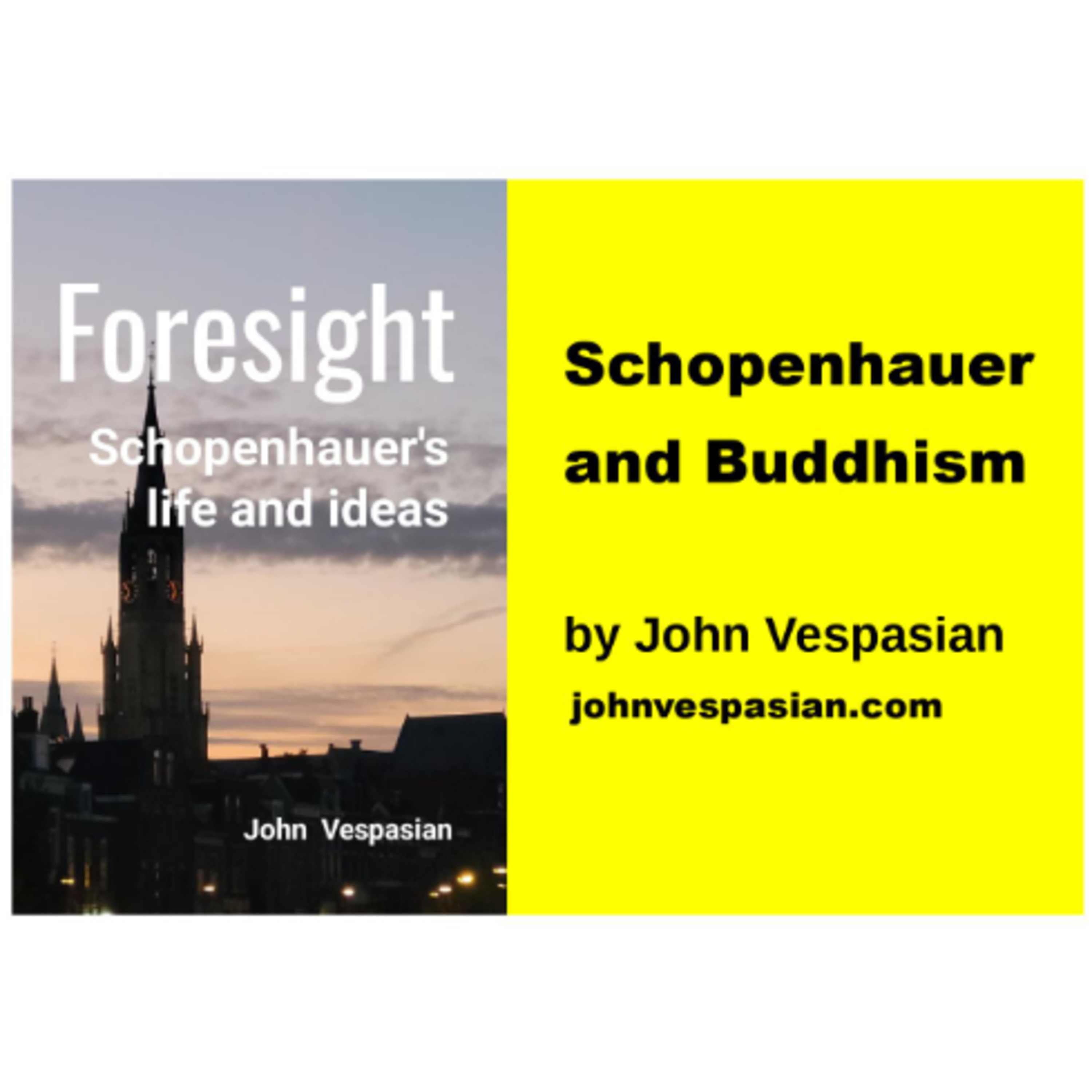 Schopenhauer and Buddhism episode artwork