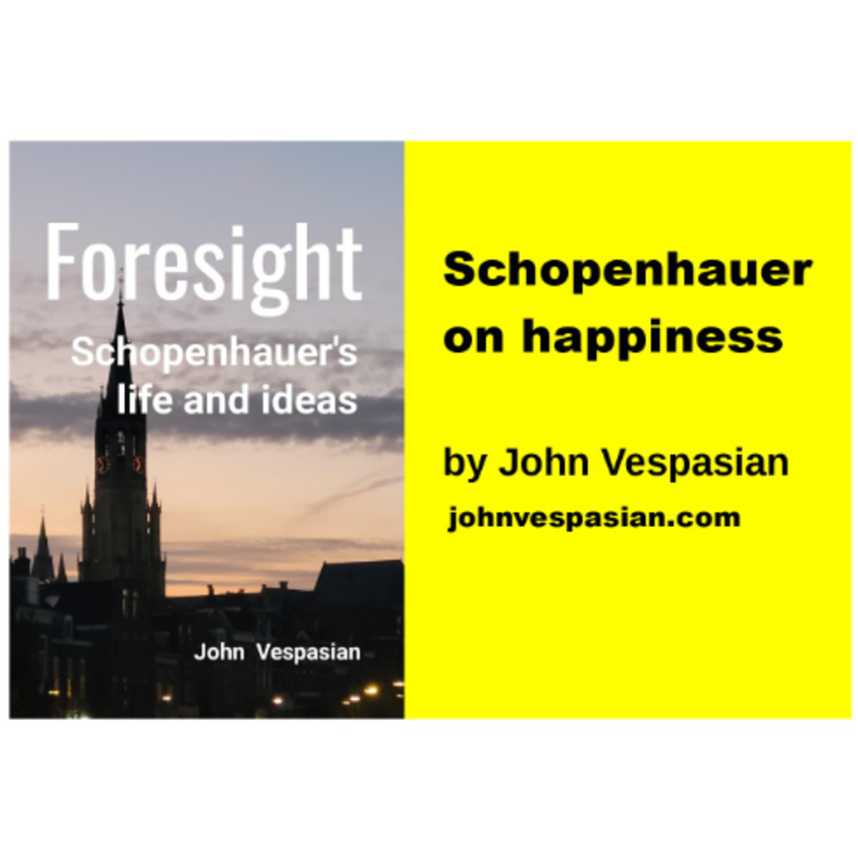 Schopenhauer on happiness episode artwork