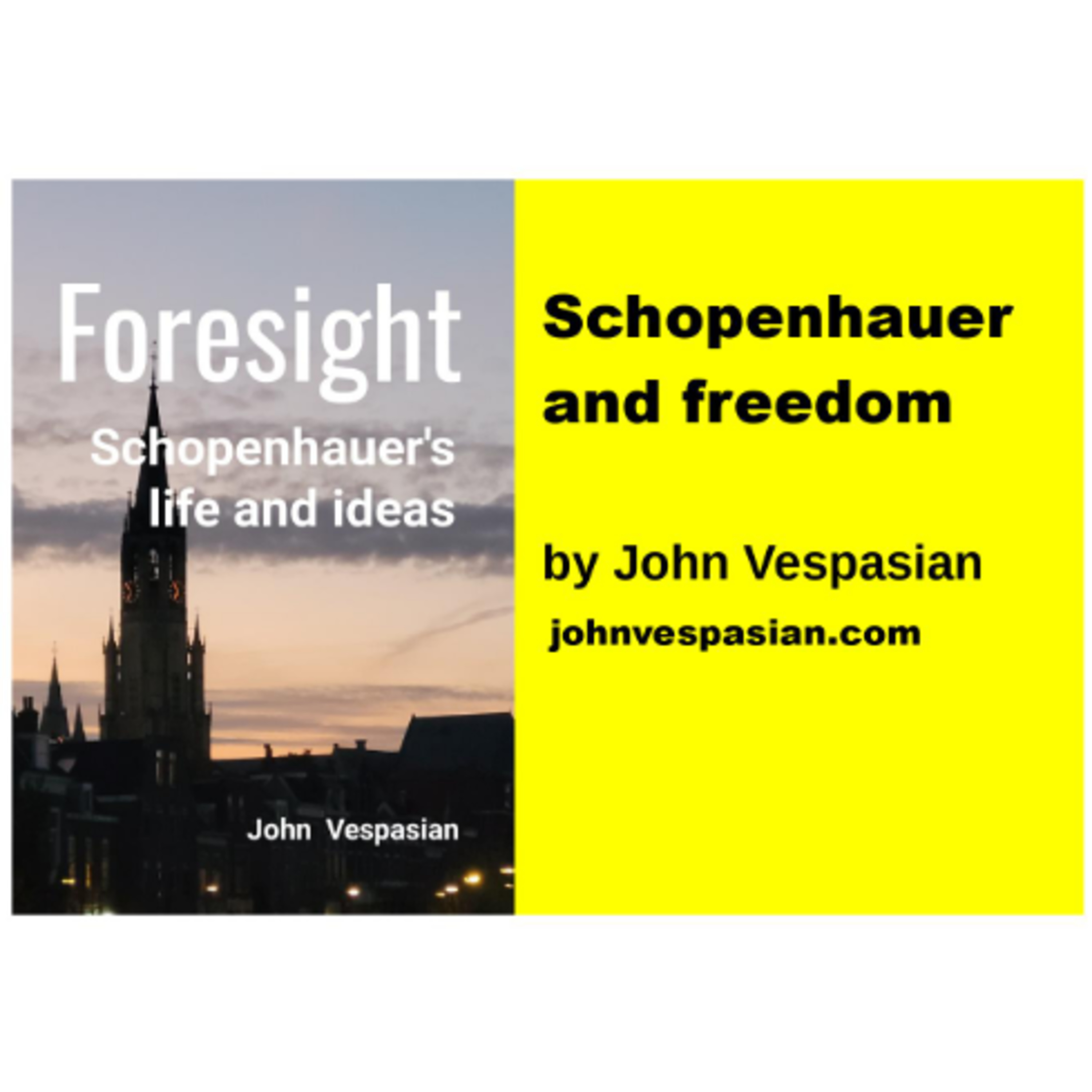 Schopenhauer and freedom episode artwork