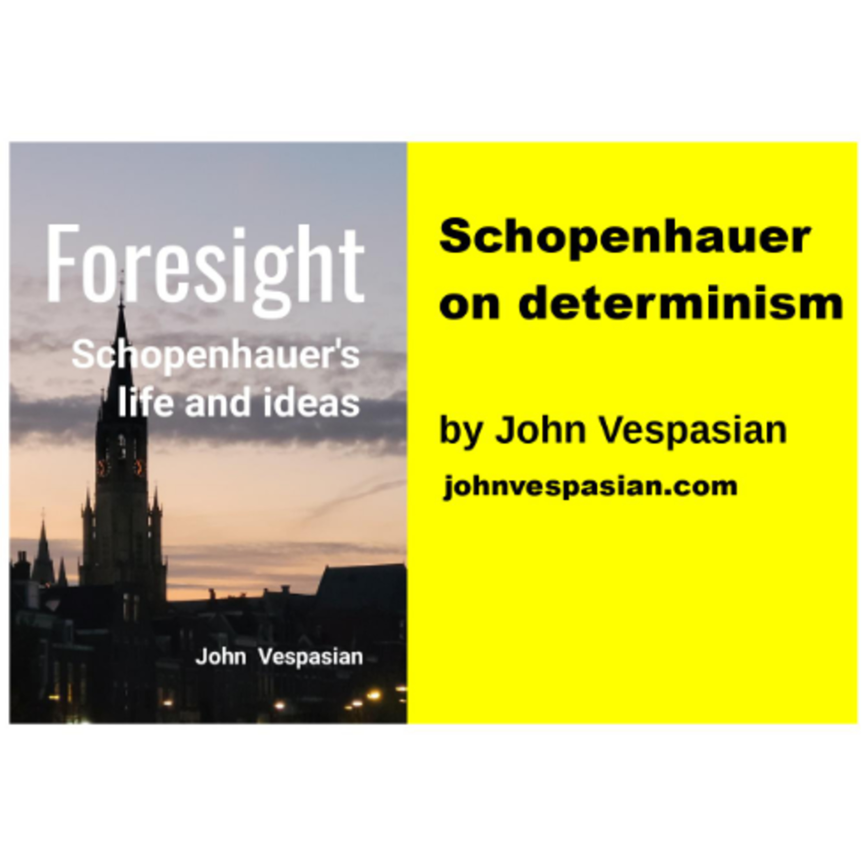 Schopenhauer on determinism episode artwork
