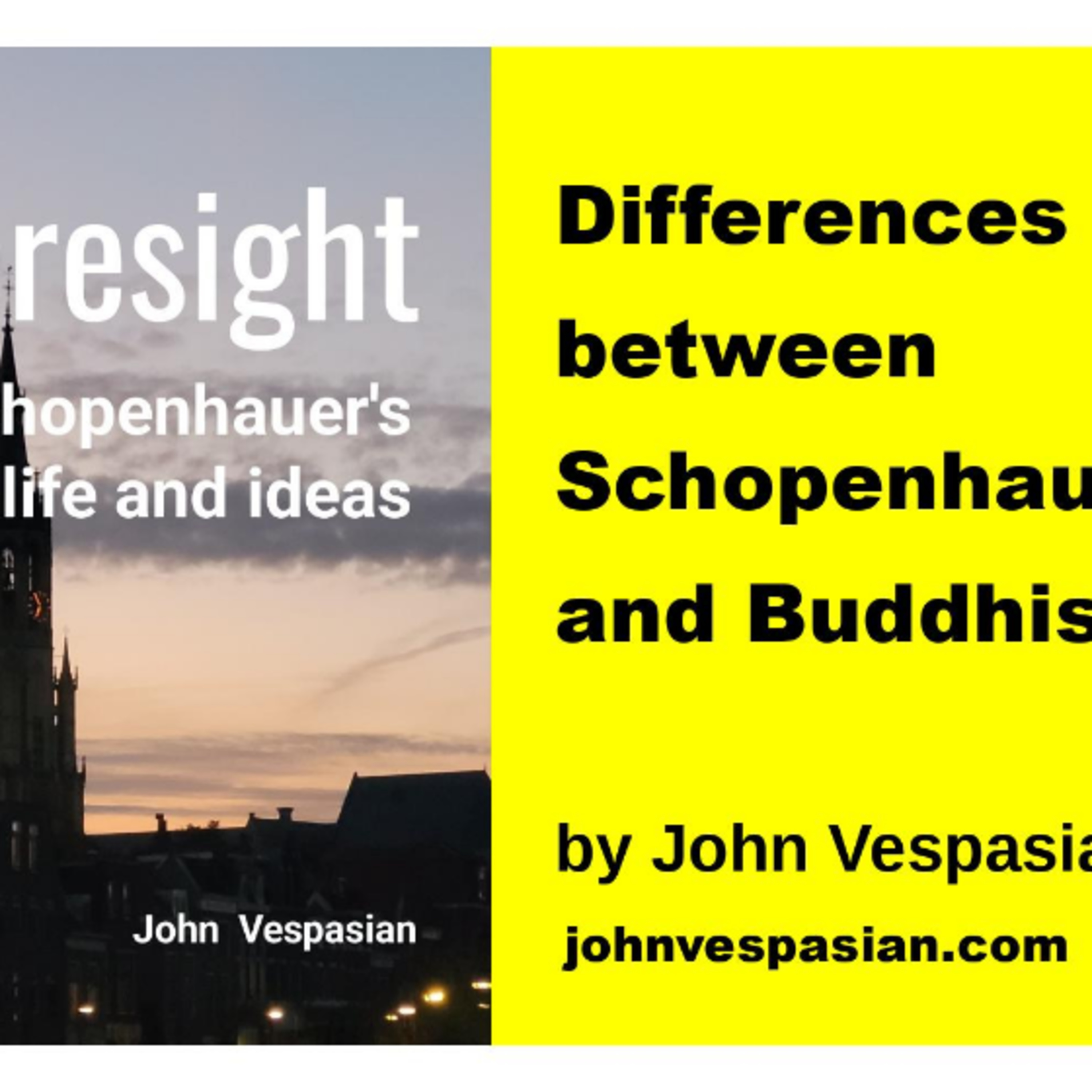 Differences between Schopenhauer and Buddhism episode artwork