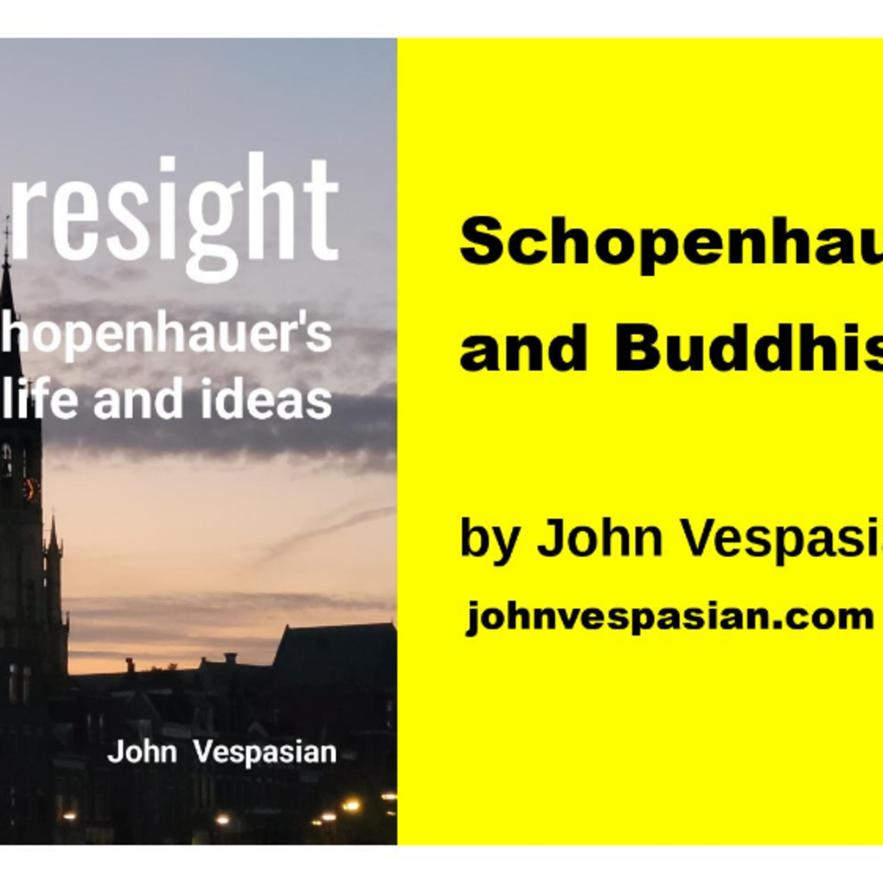Schopenhauer and Buddhism episode artwork