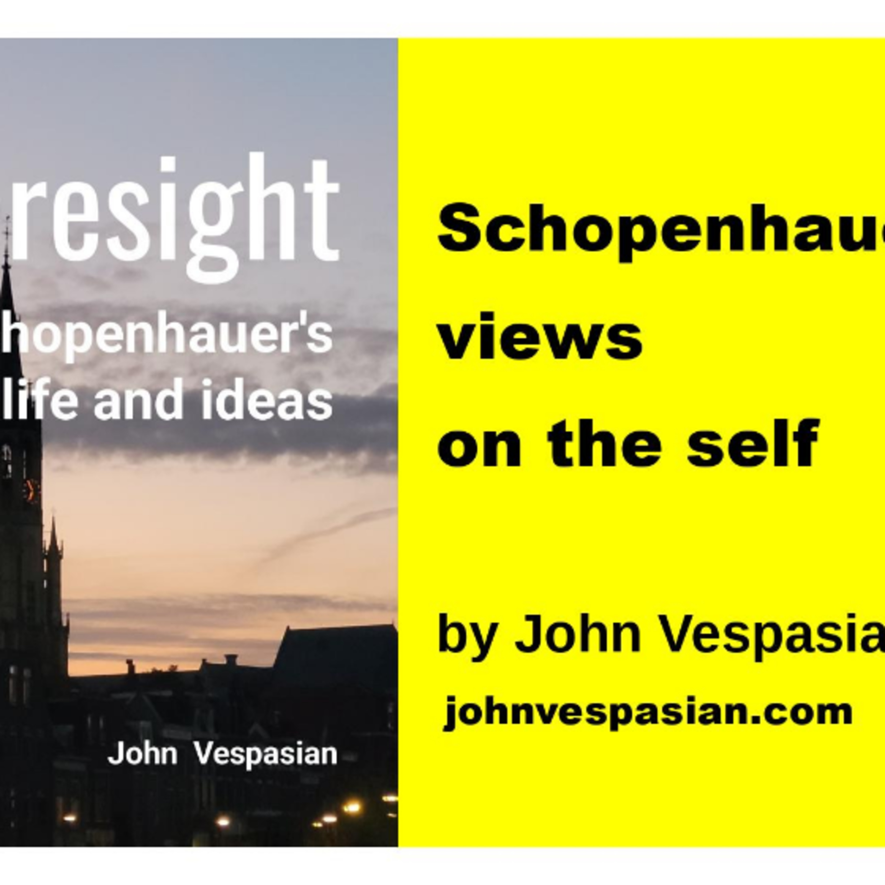 Schopenhauer’s views on the self episode artwork