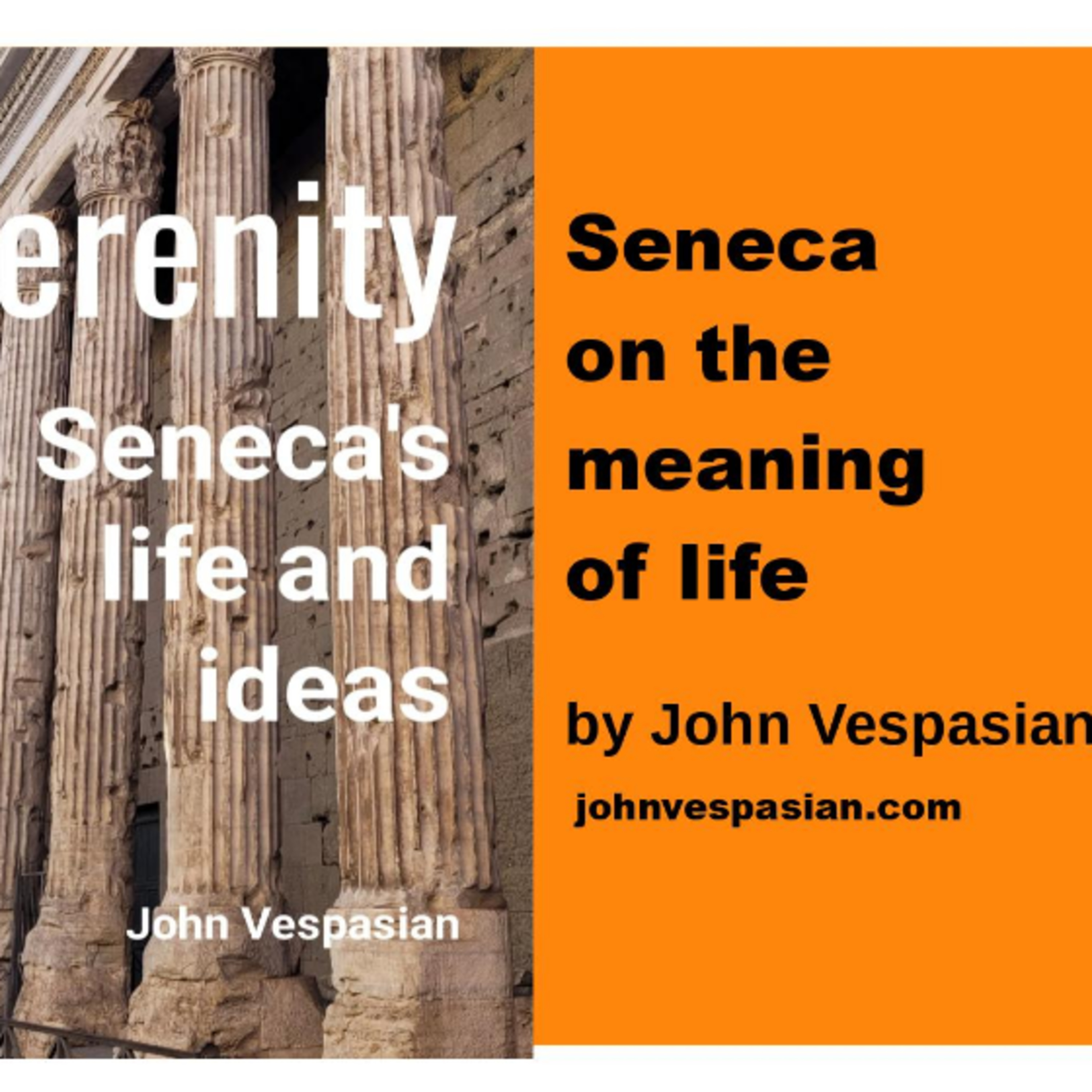 Seneca on the meaning of life