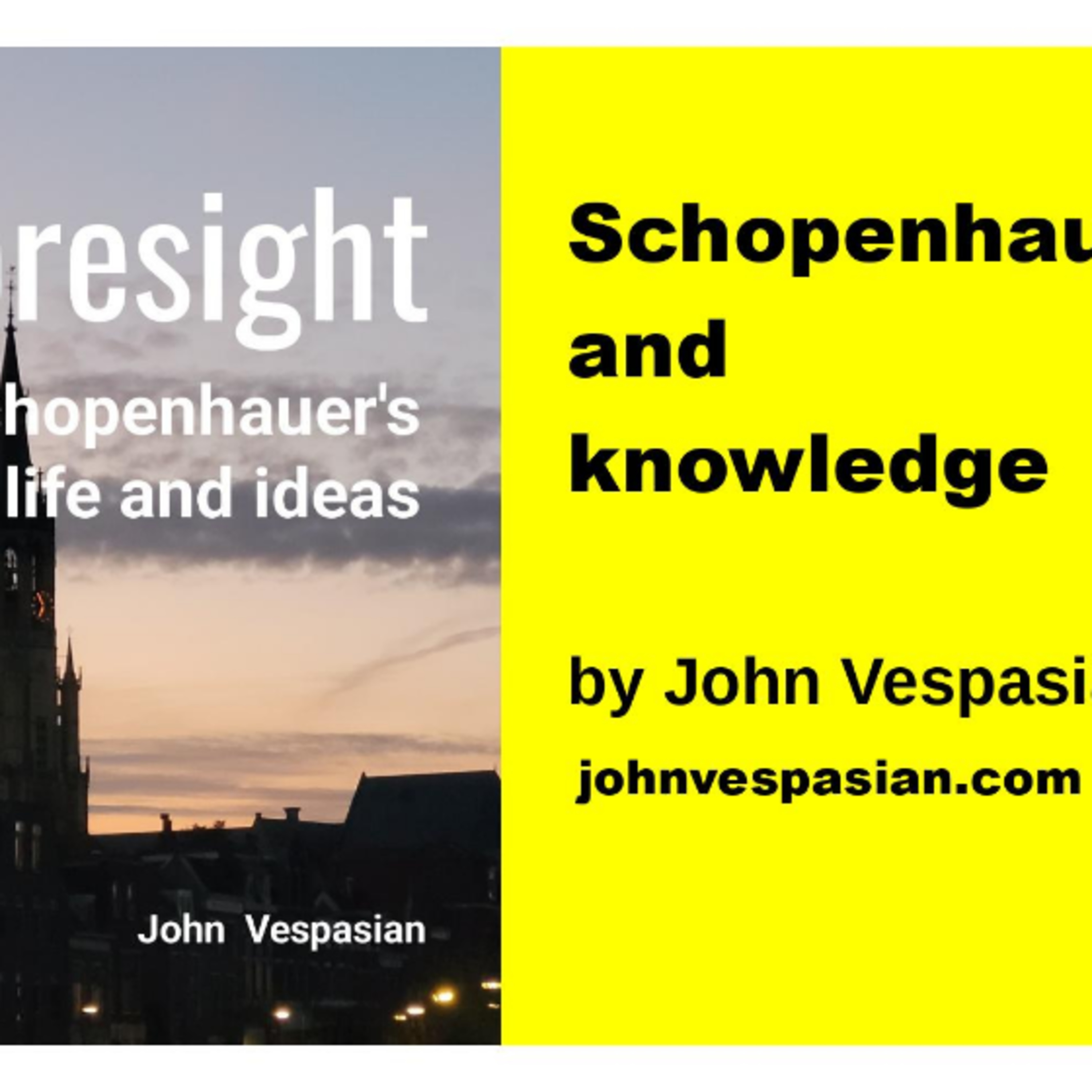 Schopenhauer and knowledge episode artwork