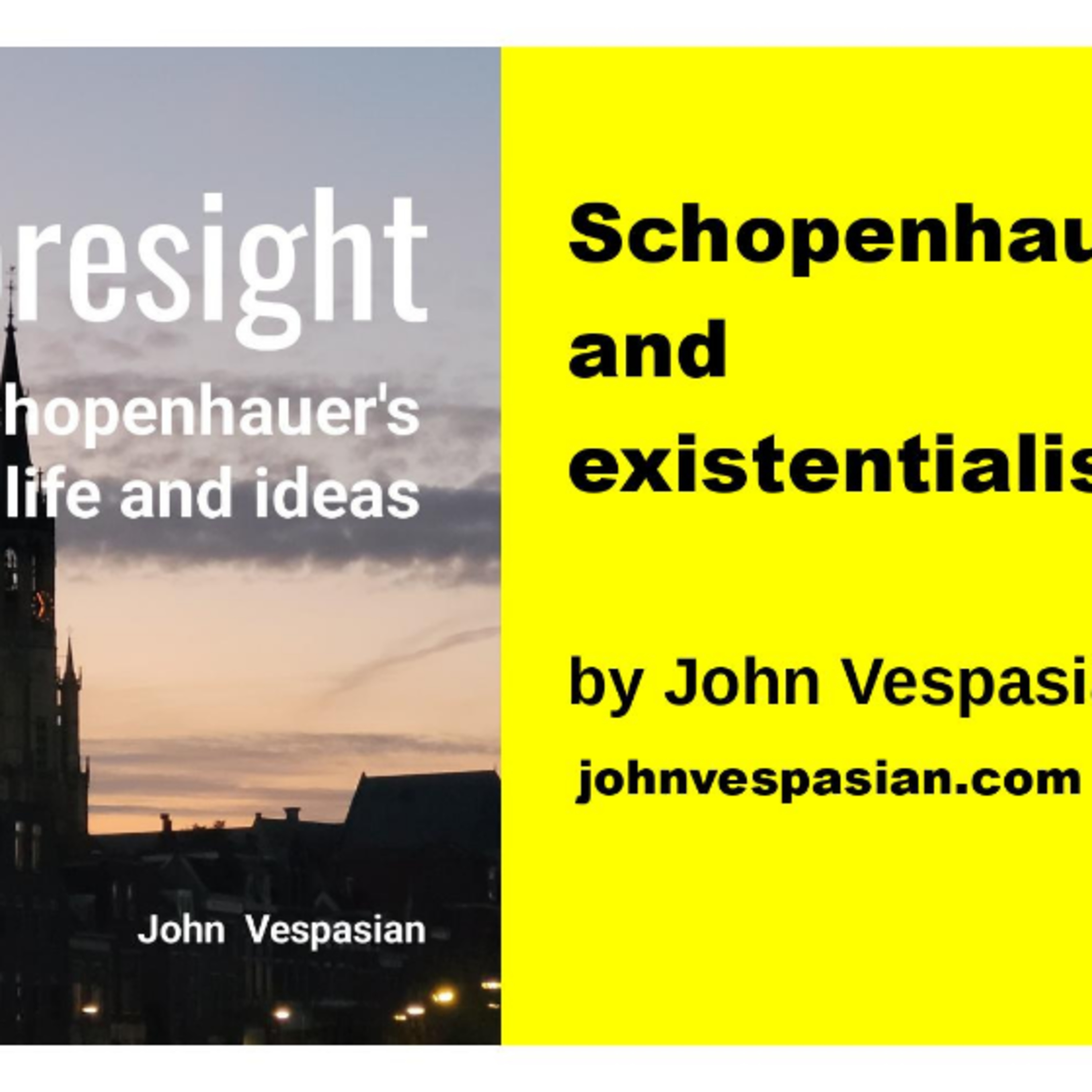 Schopenhauer and existentialism  episode artwork