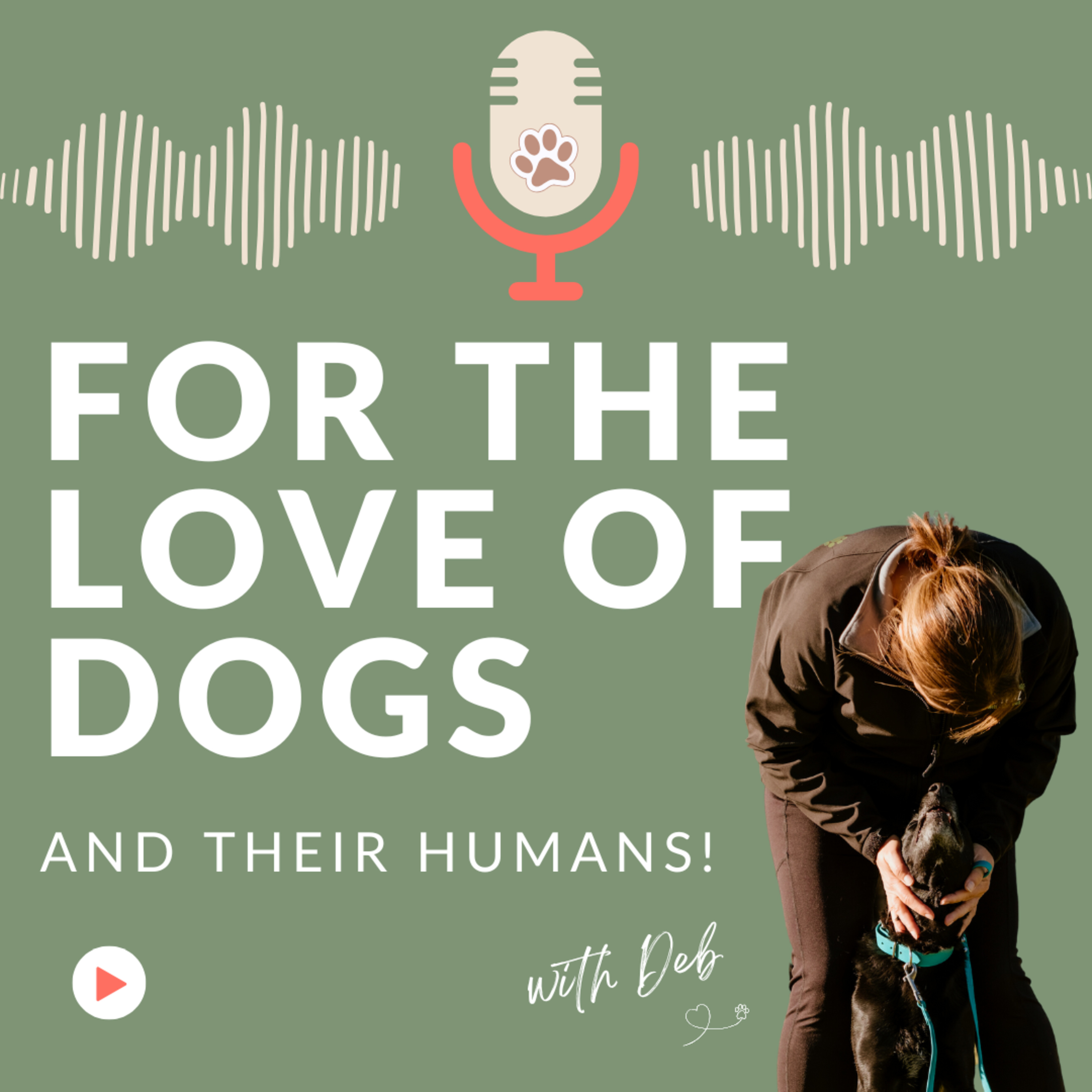 5 Behaviour Myths That Could Be Holding Your Dog Back (Plus One Bonus!) episode artwork