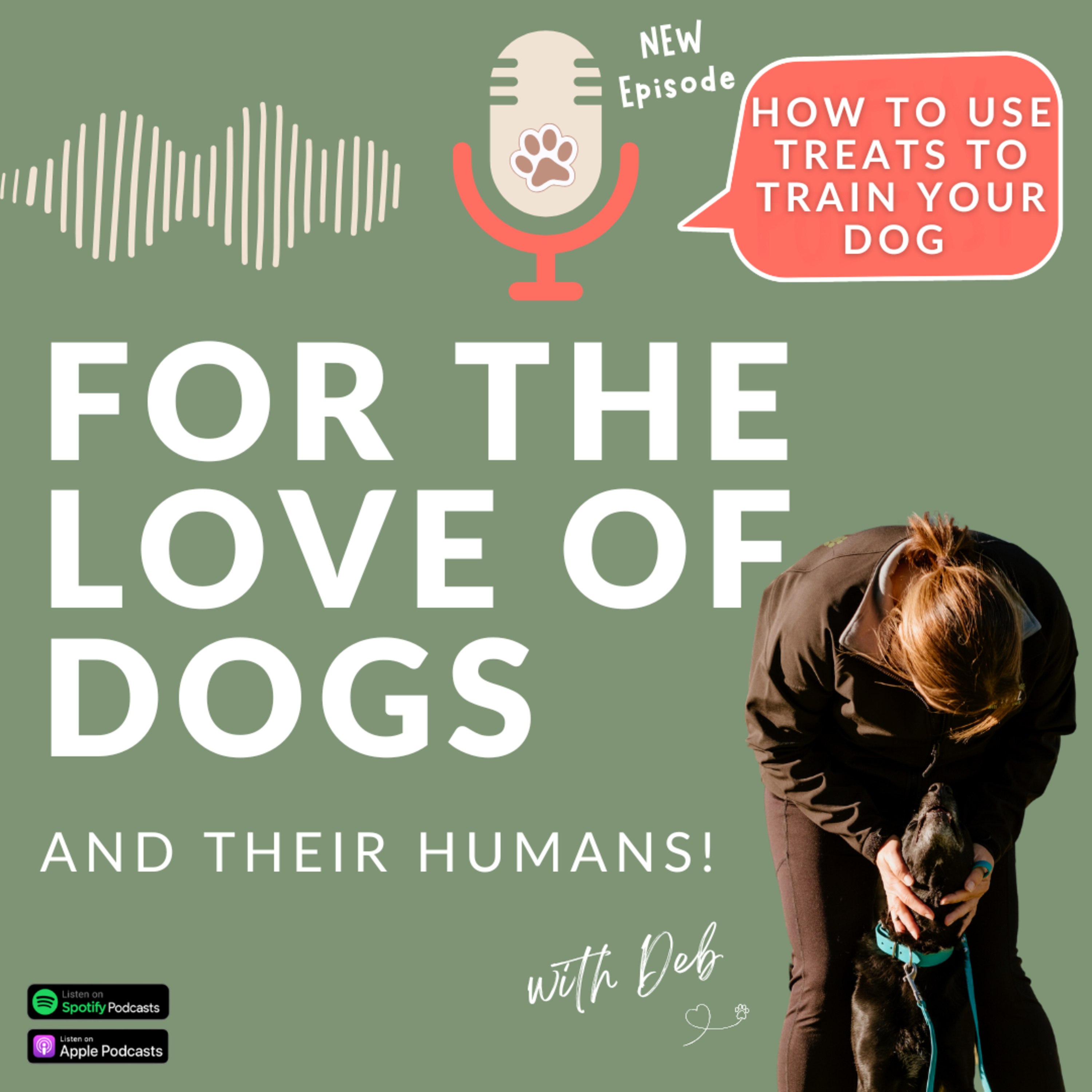 How to Use Treats to Train Your Dog (without becoming a food dispenser!) episode artwork