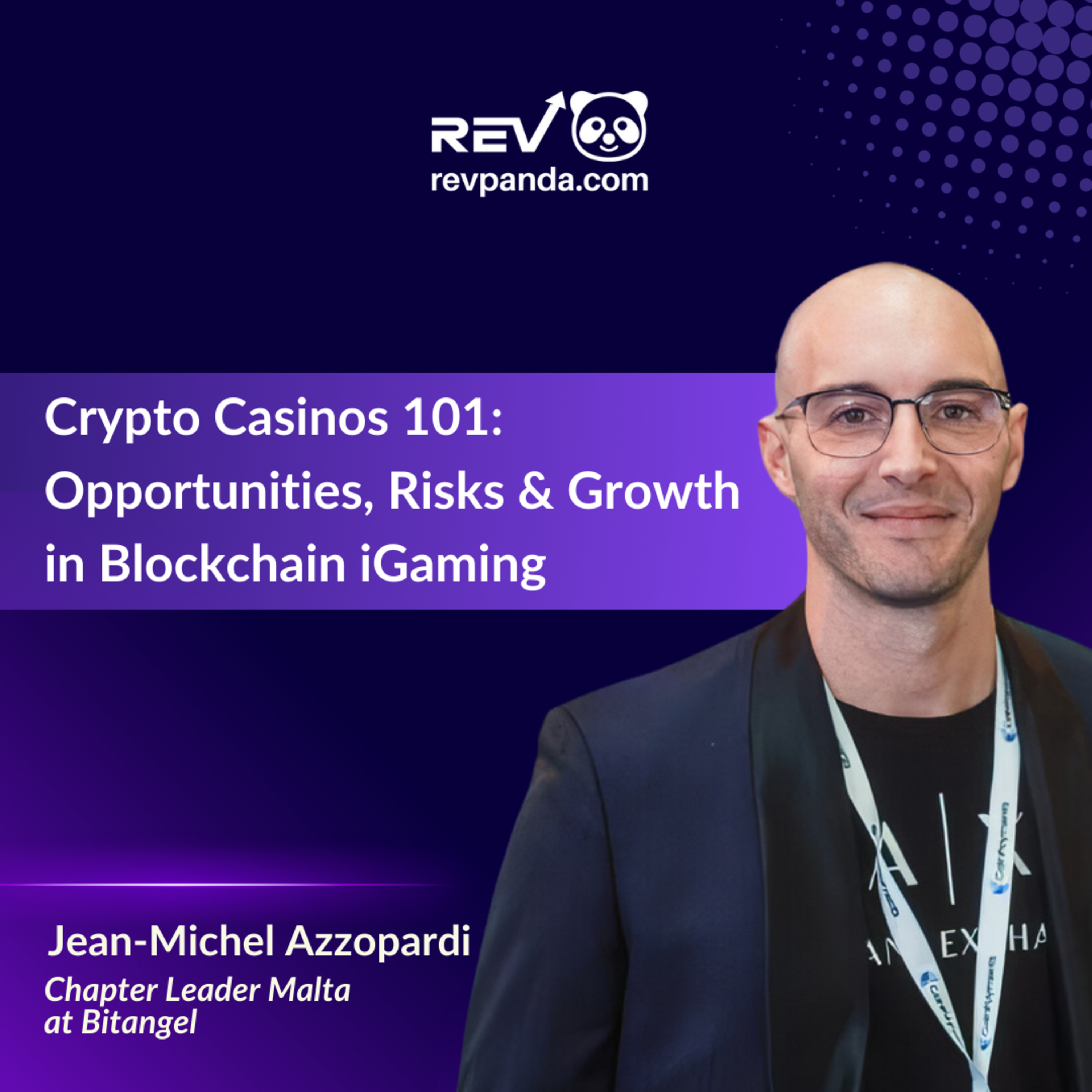 Crypto Casinos 101: Opportunities, Risks & Growth in Blockchain iGaming episode artwork
