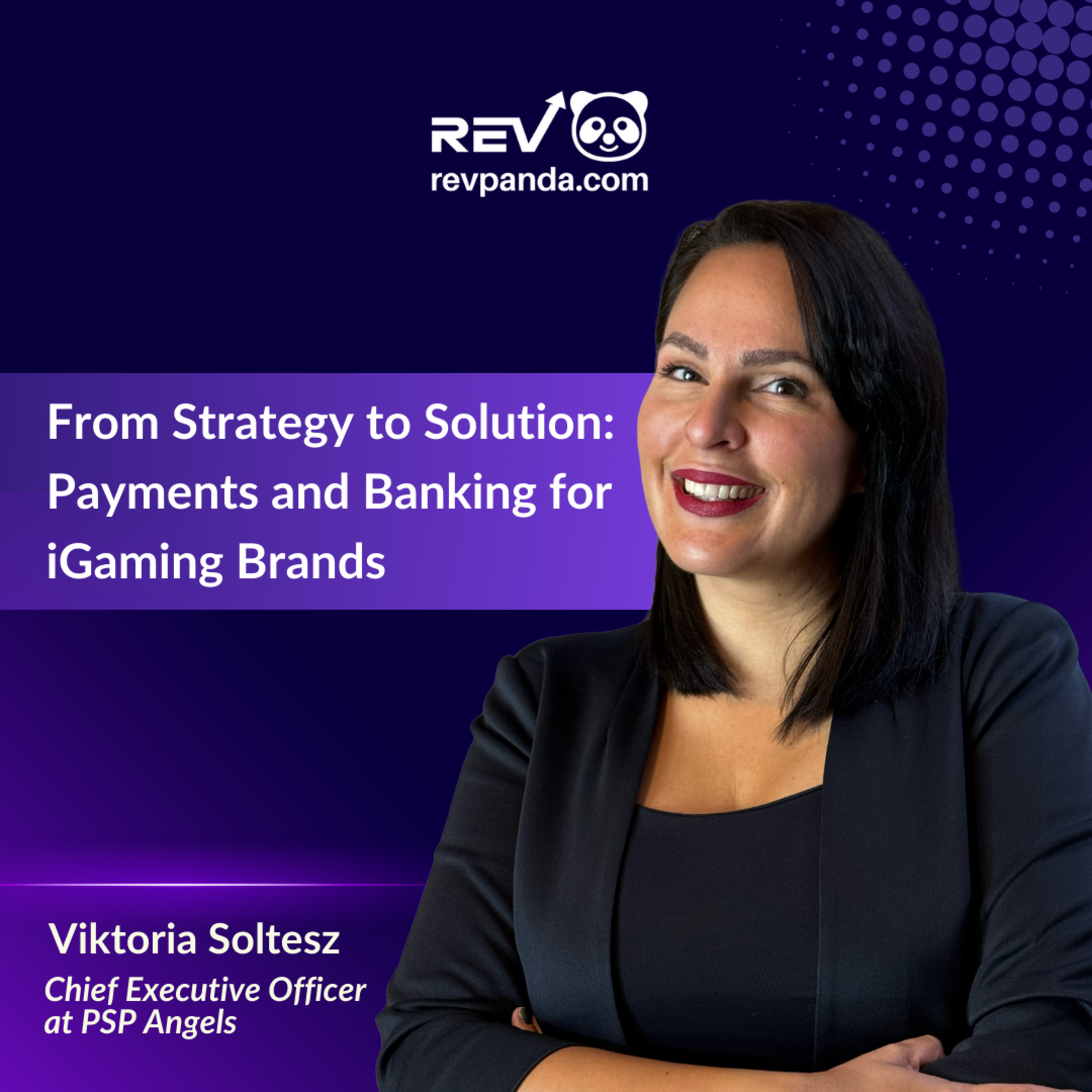 From Strategy to Solution: Payments and Banking for iGaming Brands episode artwork