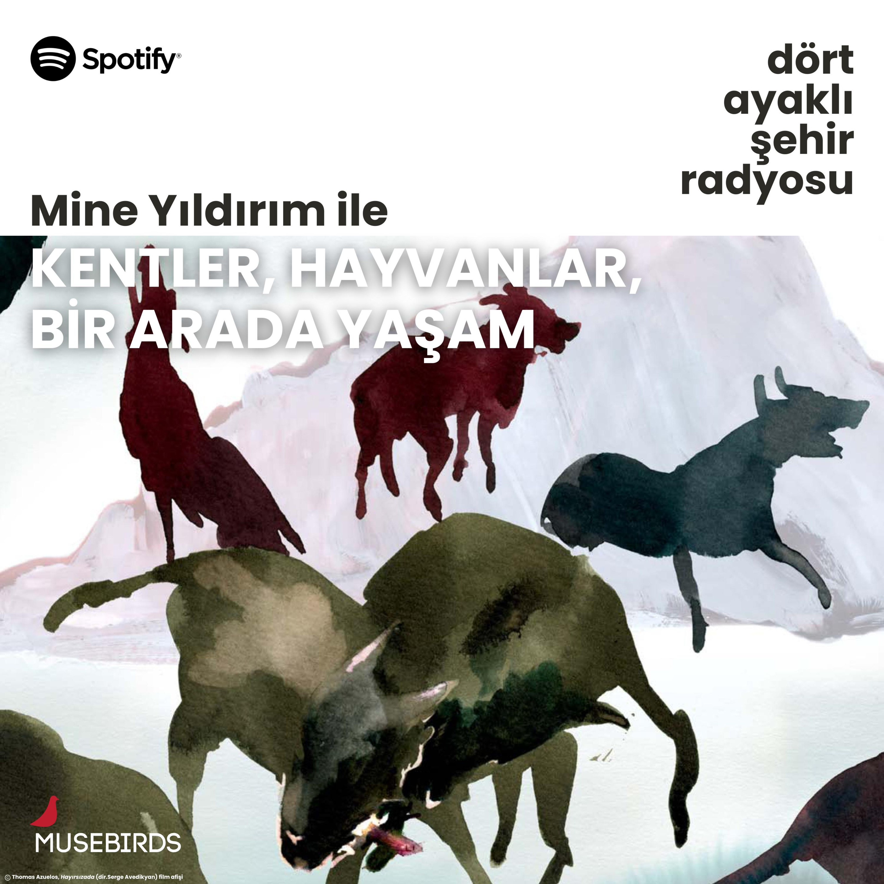 Dört Ayaklı Şehir Radyosu