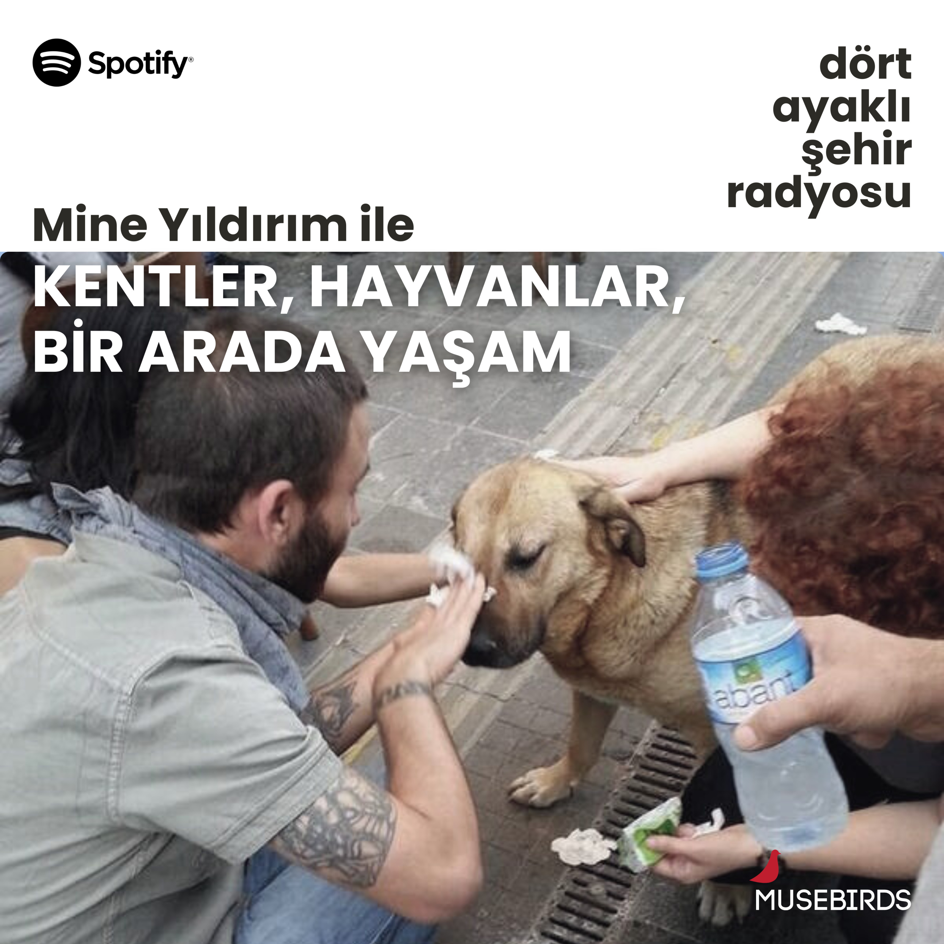 Kentler, Hayvanlar, Bir Arada Yaşam - Mine Yıldırım | Direnişin içinde sokak hayvanları episode artwork