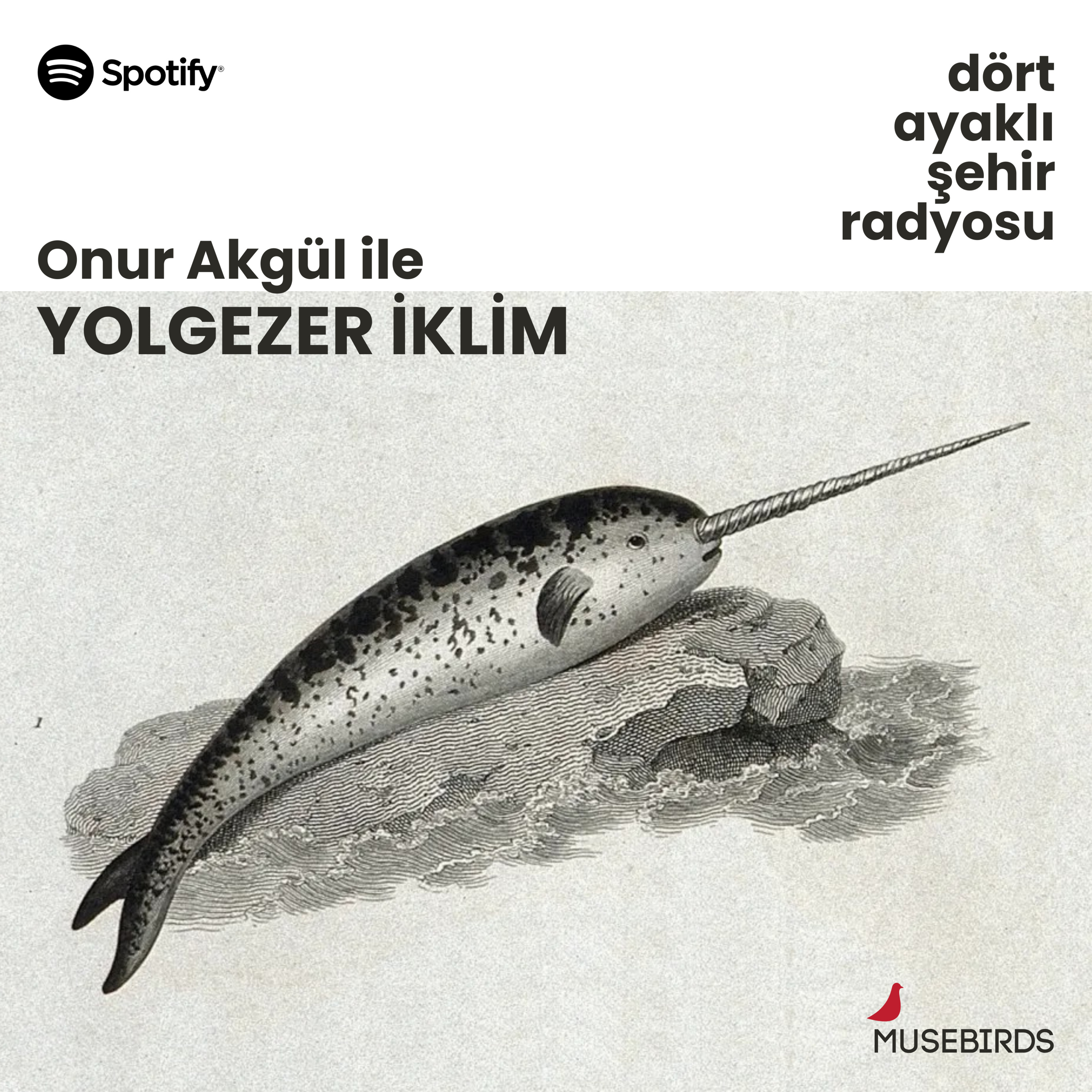Yolgezer İklim - Onur Akgül | DAYAN-DİREN-DEĞİŞTİR: Bir Orangutan ve Adalet Hikayesi episode artwork