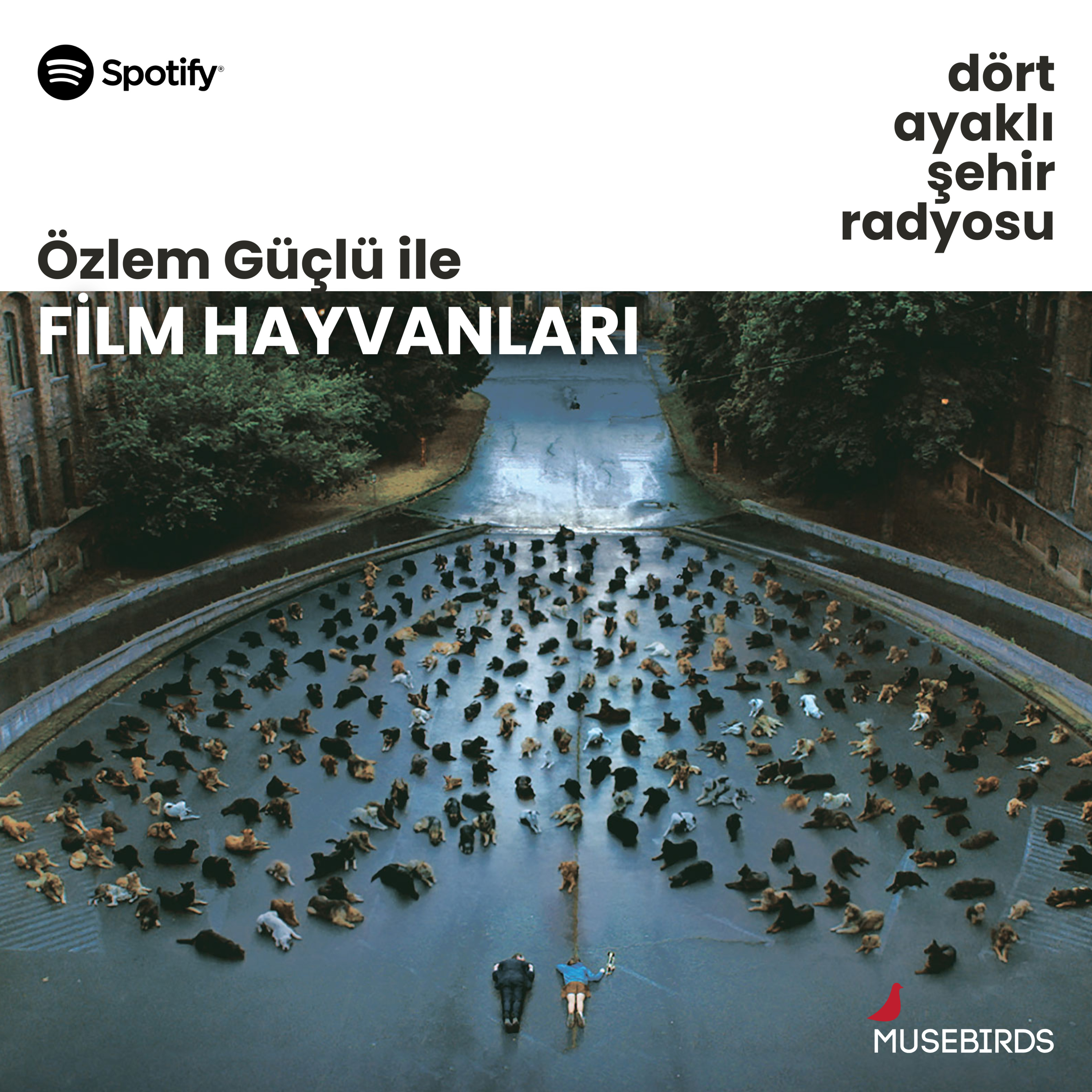 Film Hayvanları - Özlem Güçlü | Hagen ve Lili’nin Uykusu episode artwork