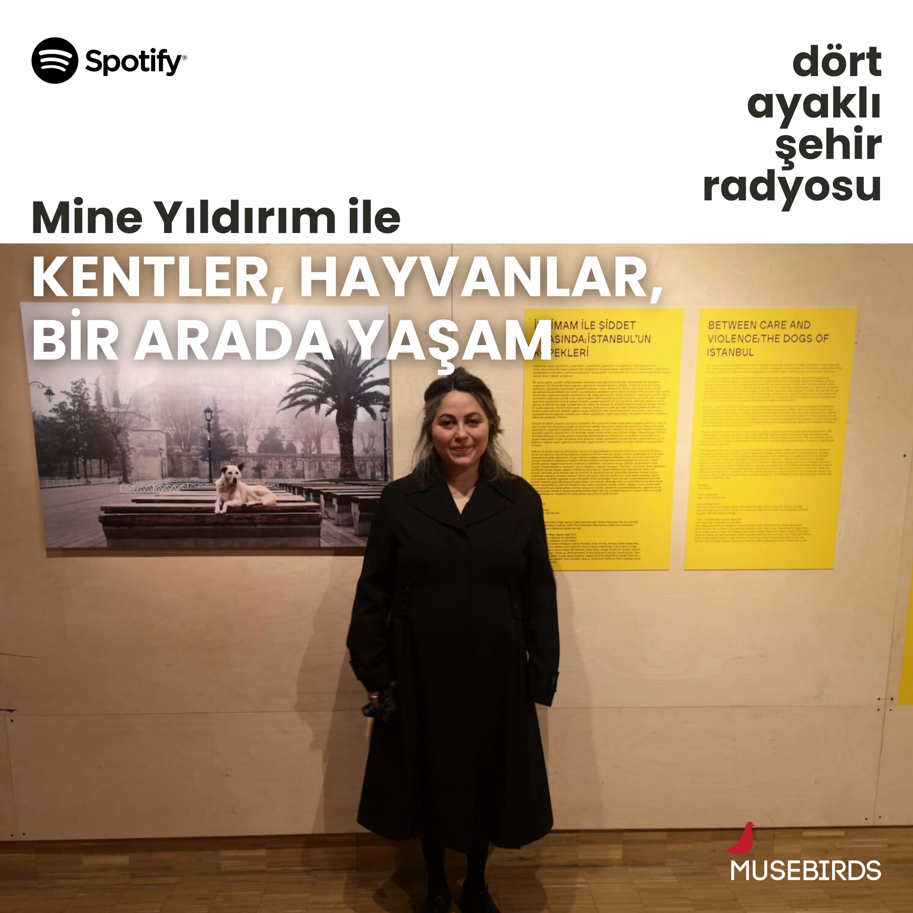 Dört Ayaklı Şehir Radyosu