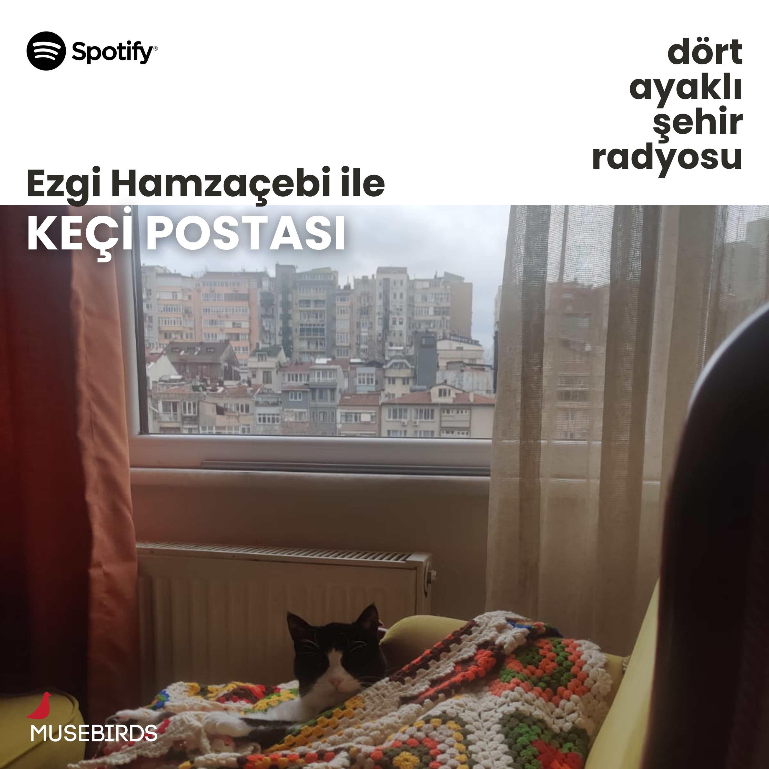Keçi Postası - Ezgi Hamzaçebi | Depreme Hayvan Dostlarımız ile Hazırlanmak episode artwork