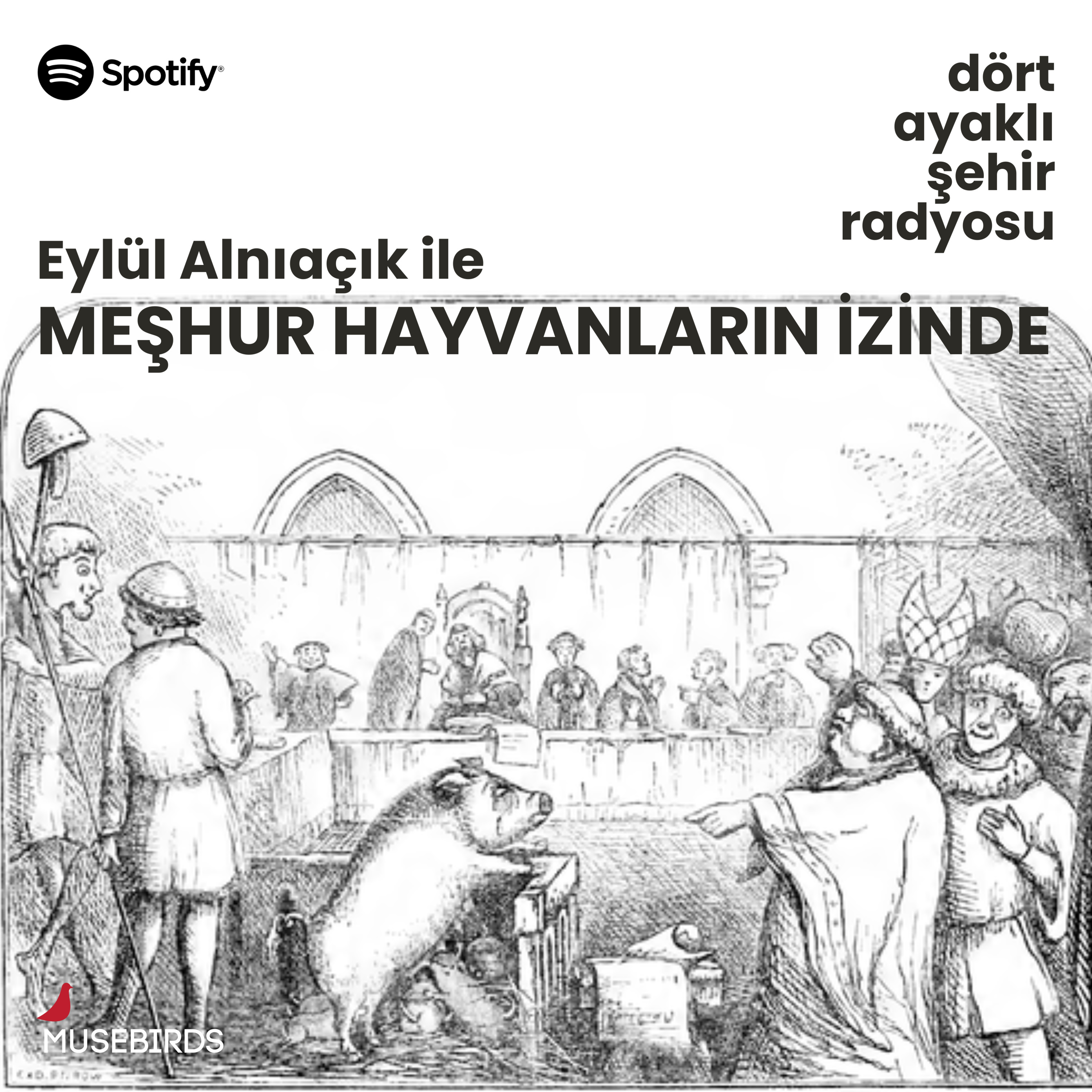 Meşhur Hayvanların İzinde - Eylül Alnıaçık | Hayvan Mahkemeleri episode artwork