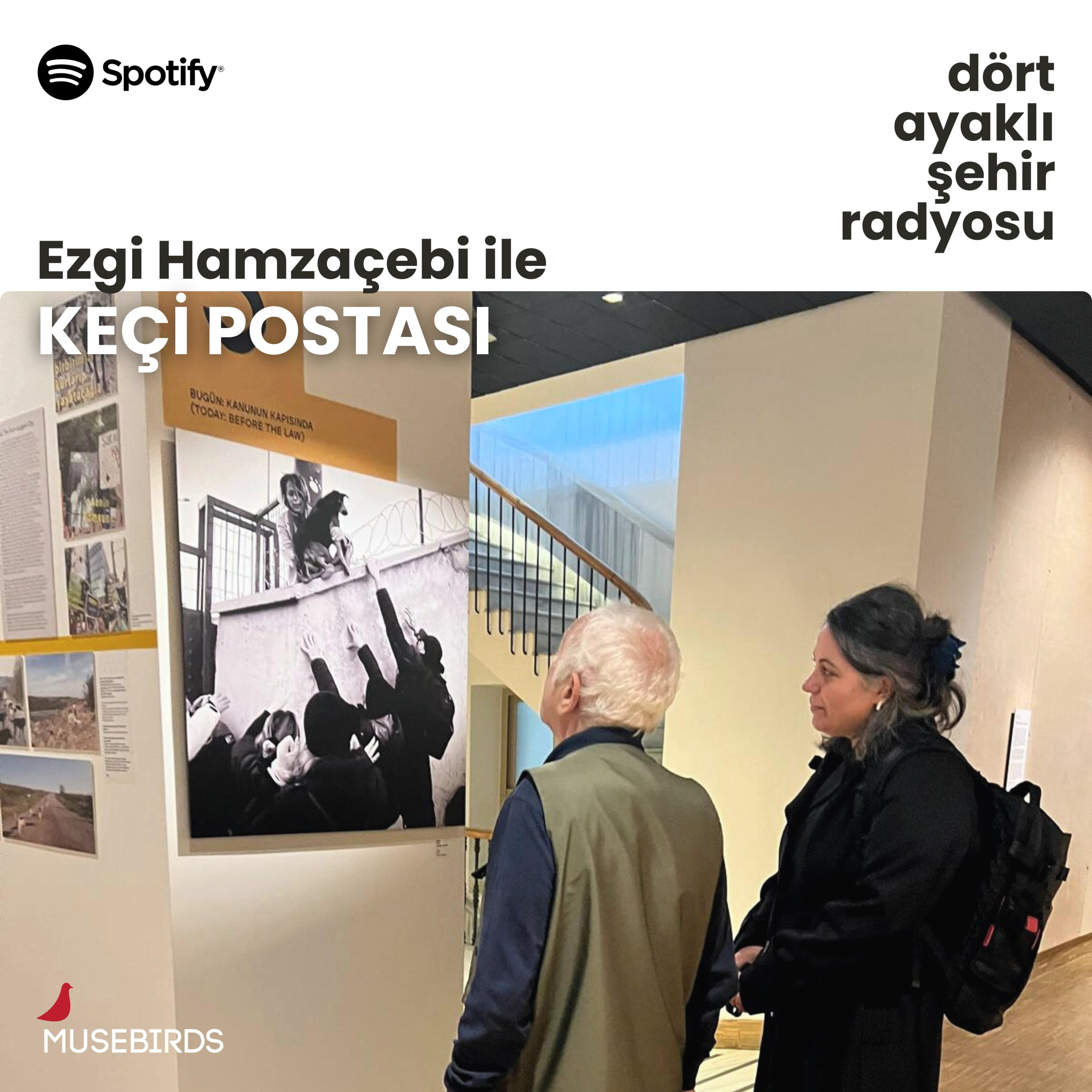 Dört Ayaklı Şehir Radyosu