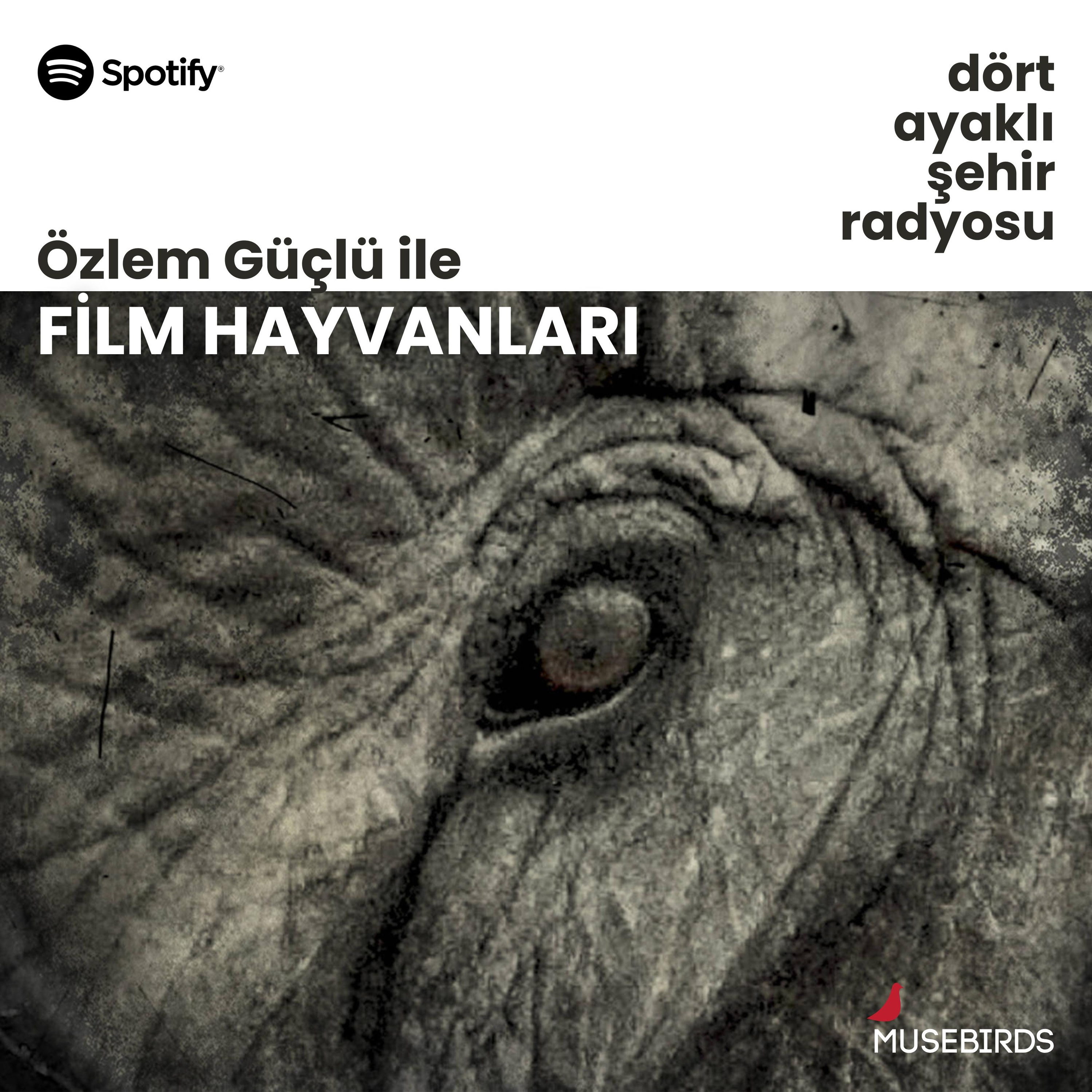 Dört Ayaklı Şehir Radyosu