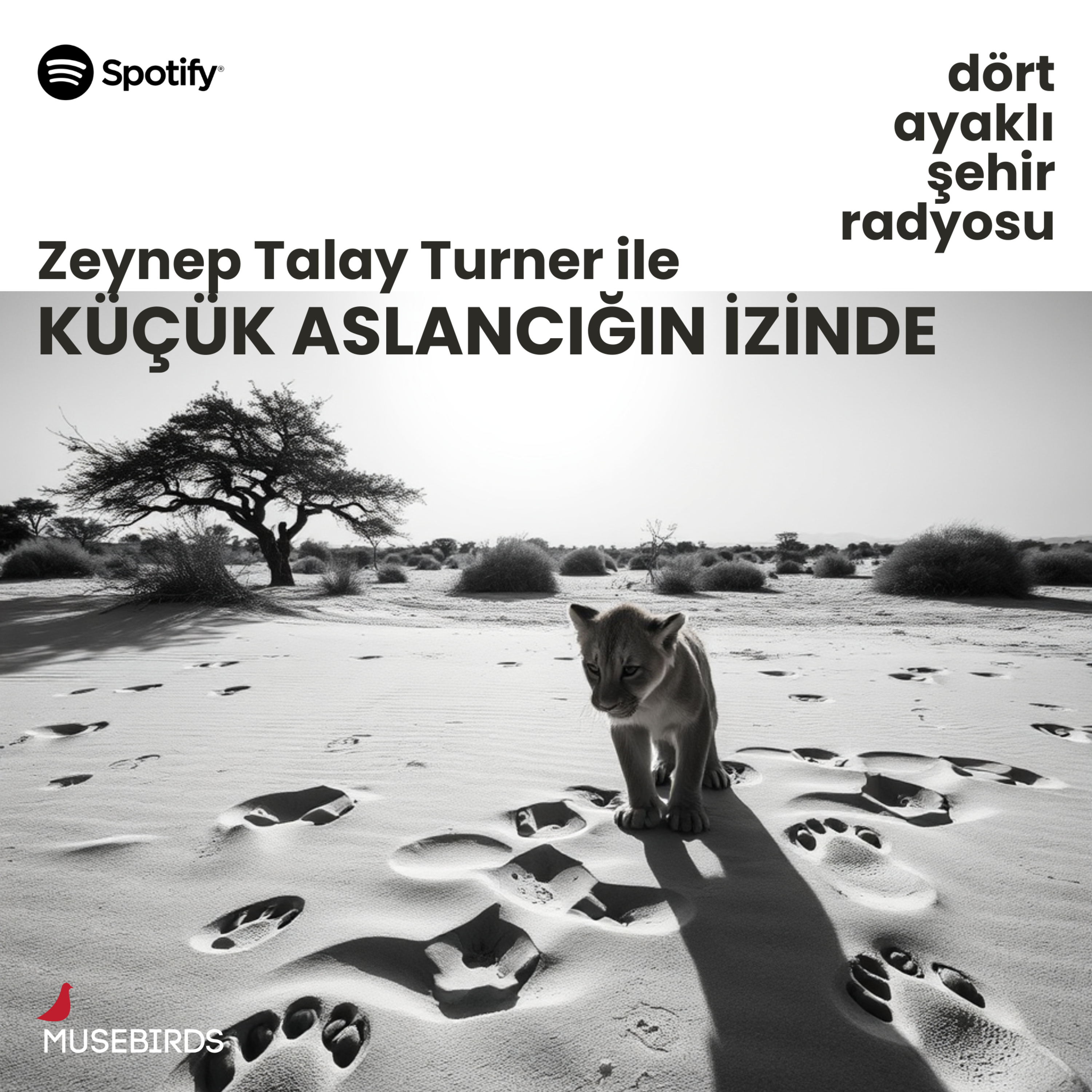 Dört Ayaklı Şehir Radyosu
