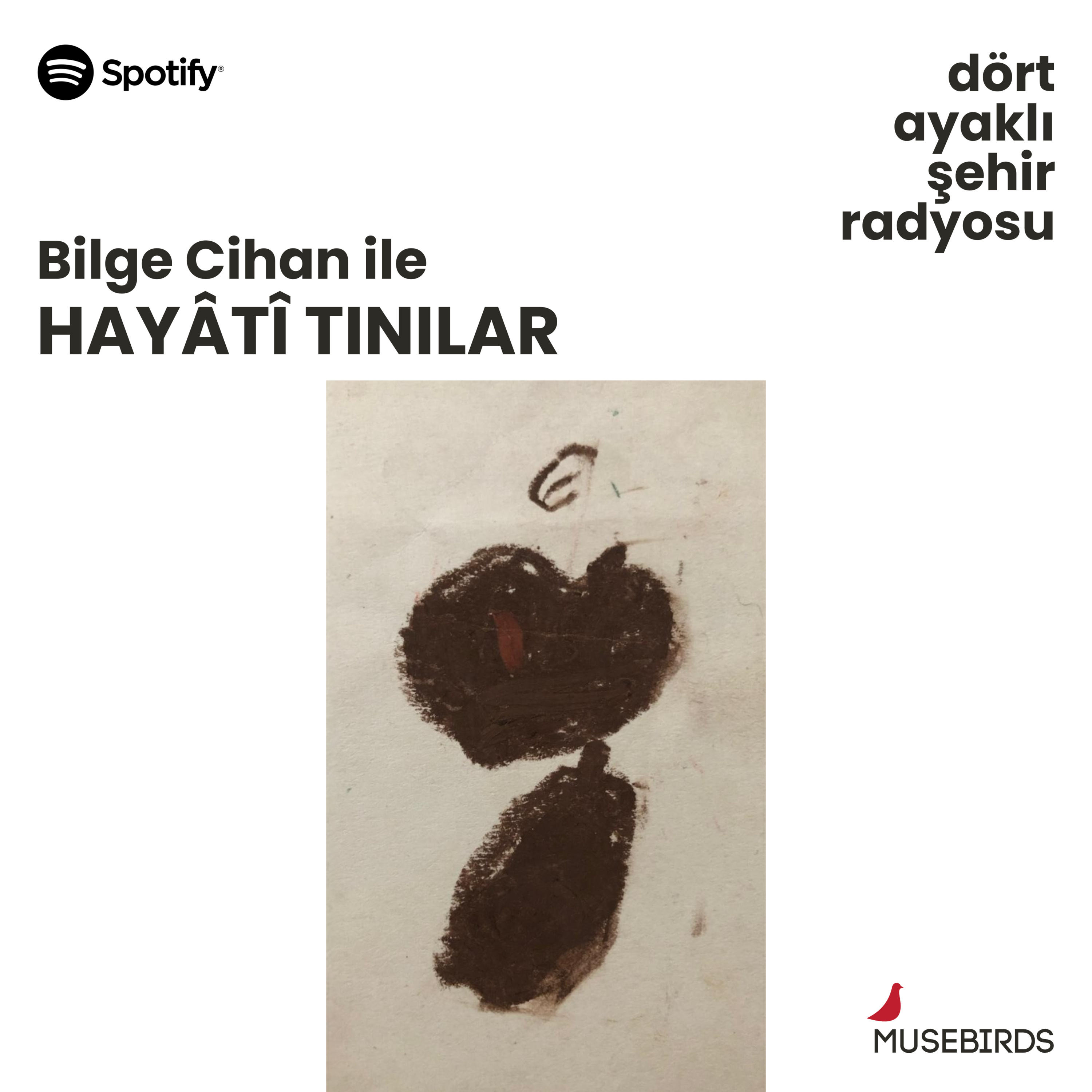 Bilge Cihan - Hayati Tınılar | Sevil Berberi – Yoksa kedi uğurlu mu geldi? | 1 episode artwork