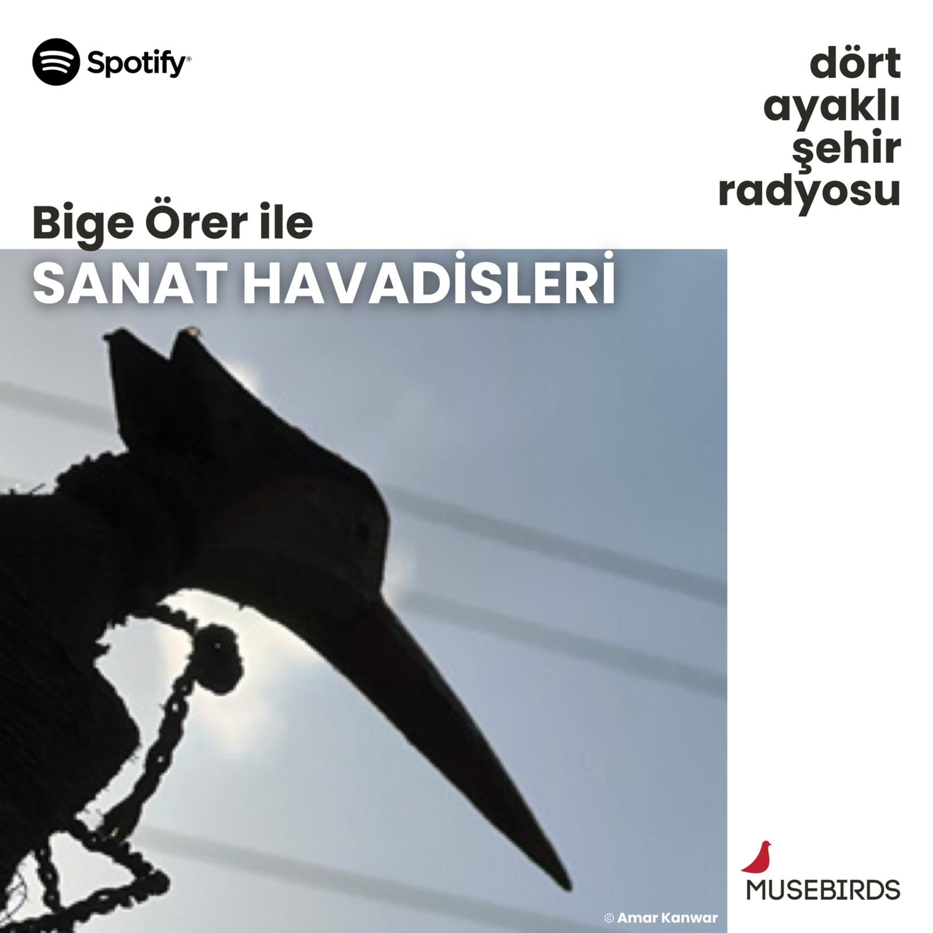 Sanat Havadisleri - Bige Örer | Gündüz Vassaf'la İstanbul'da Kedi episode artwork