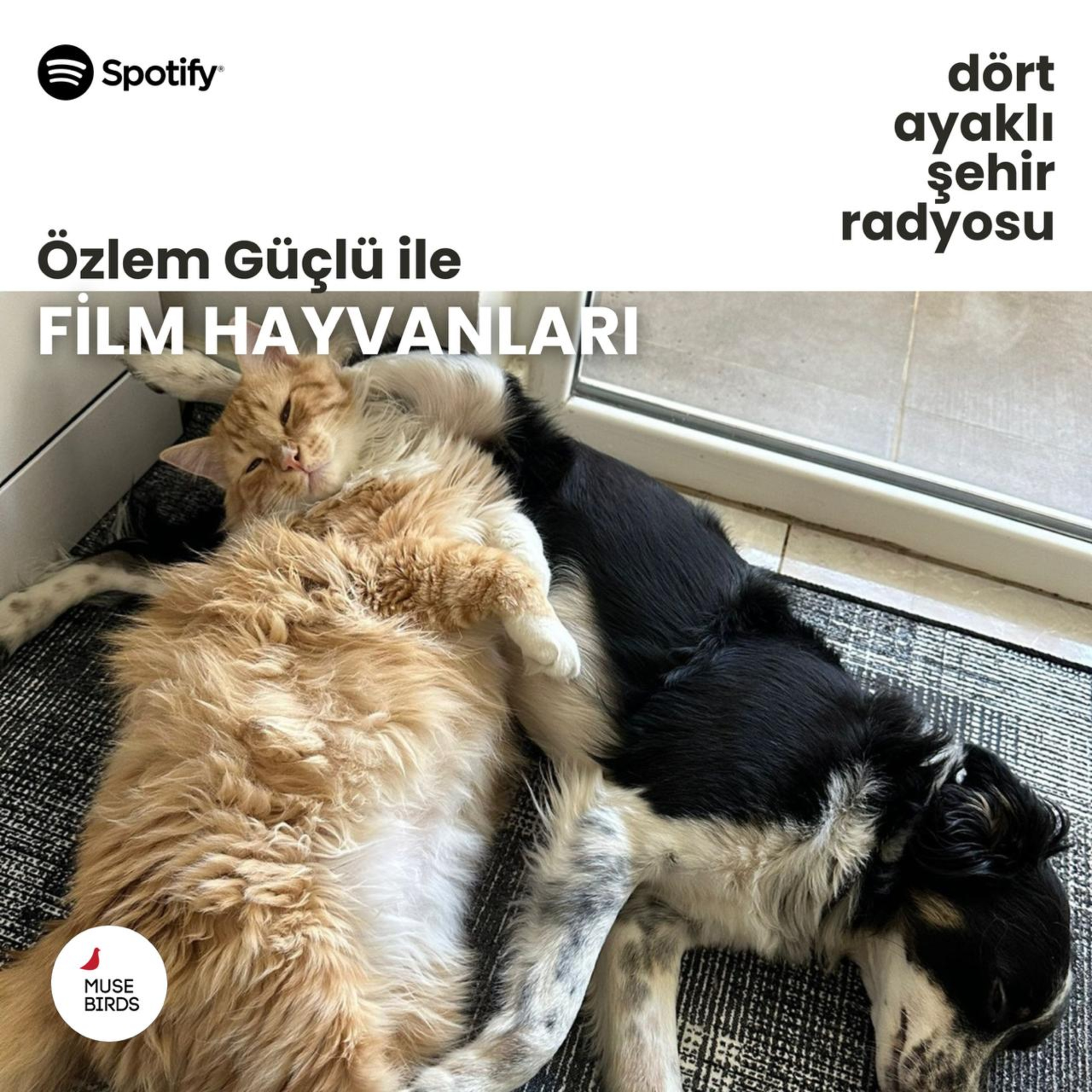 Dört Ayaklı Şehir Radyosu