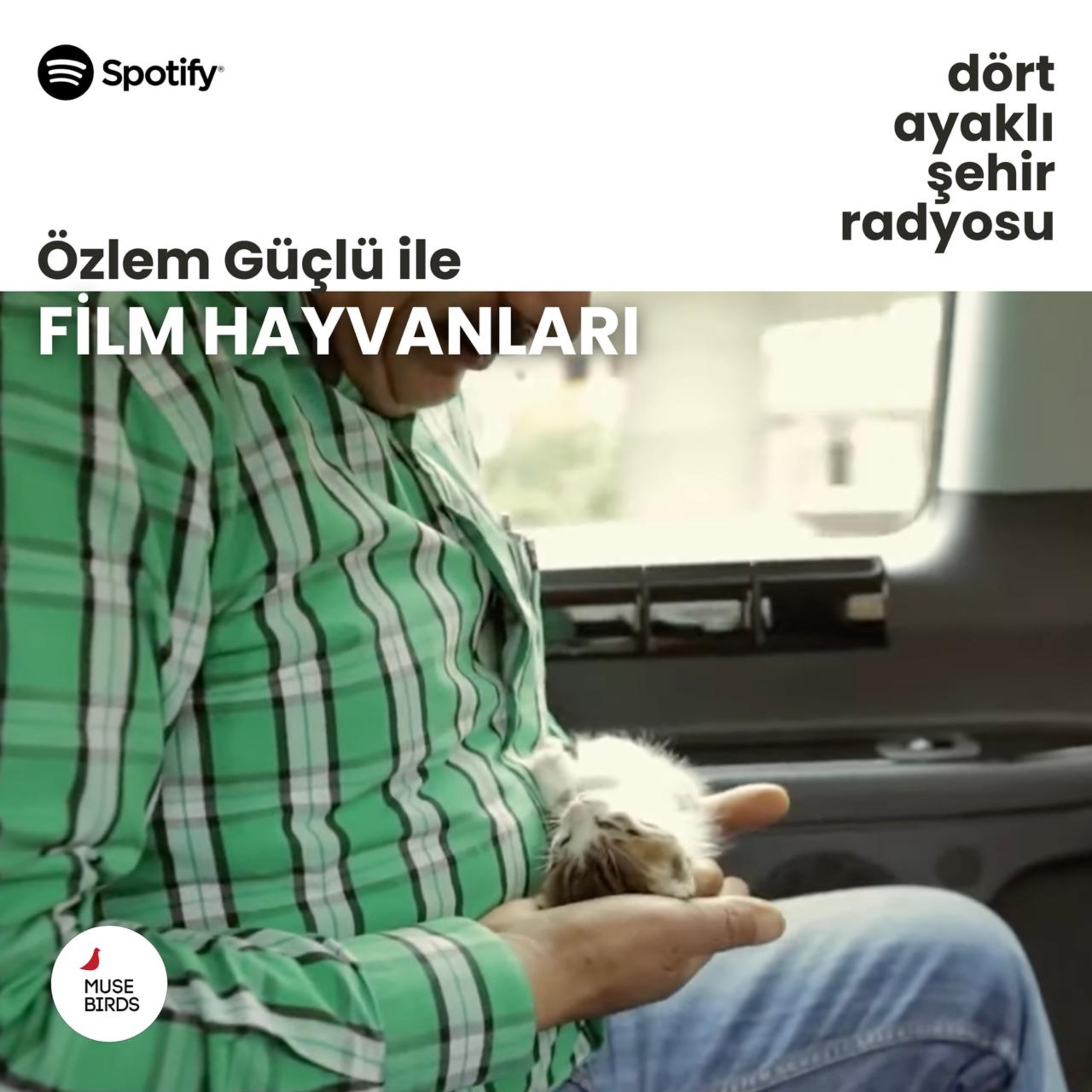 Film Hayvanları - Özlem Güçlü | Kediyi Meraksızlık Öldürür  episode artwork