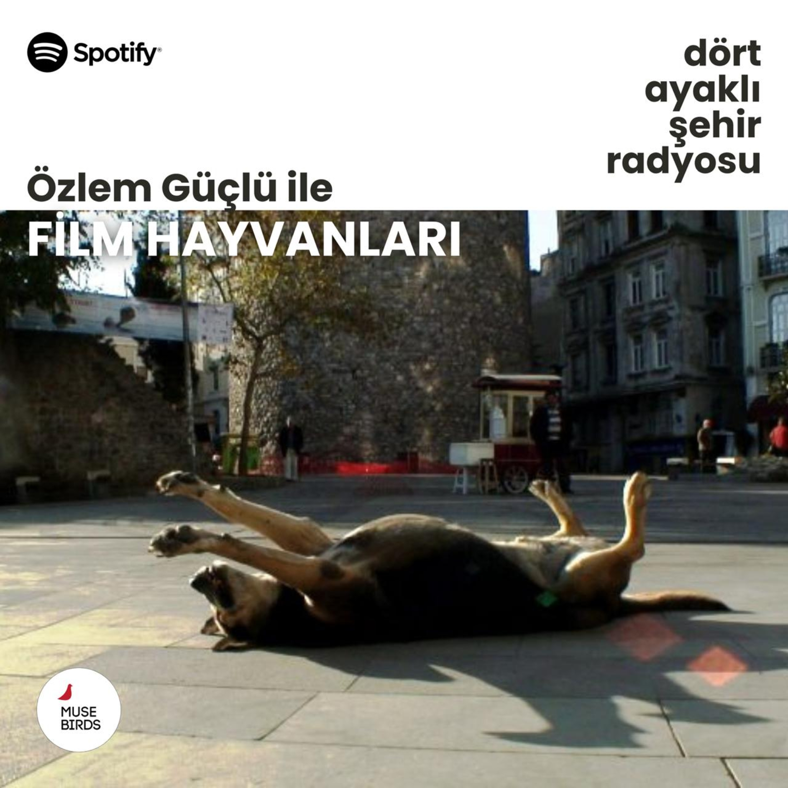Film Hayvanları - Özlem Güçlü | Taşkafa’nın Hayaleti episode artwork