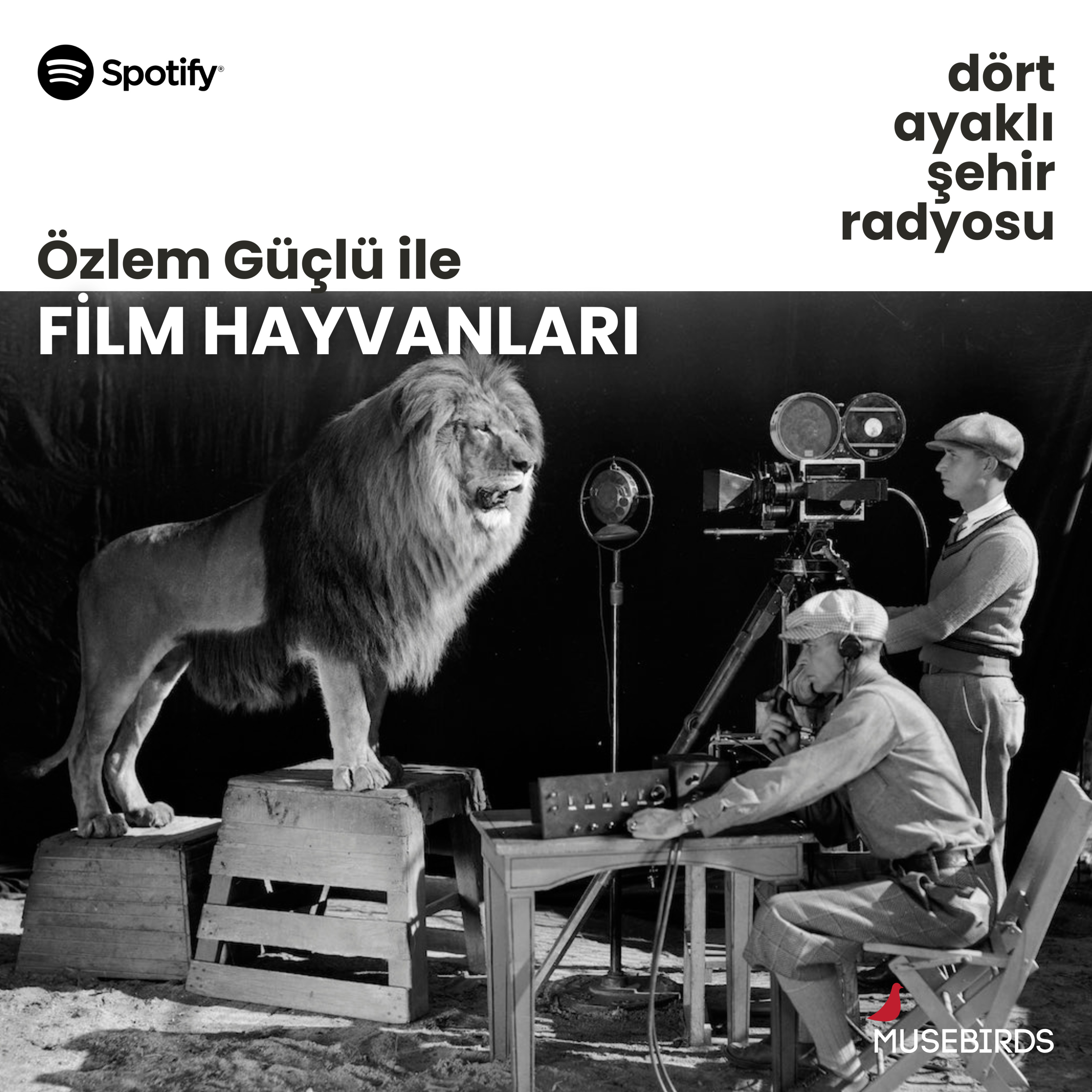 Film Hayvanları - Özlem Güçlü | Hanım, Yoldaşlık, Birbirini-Kurtarma episode artwork