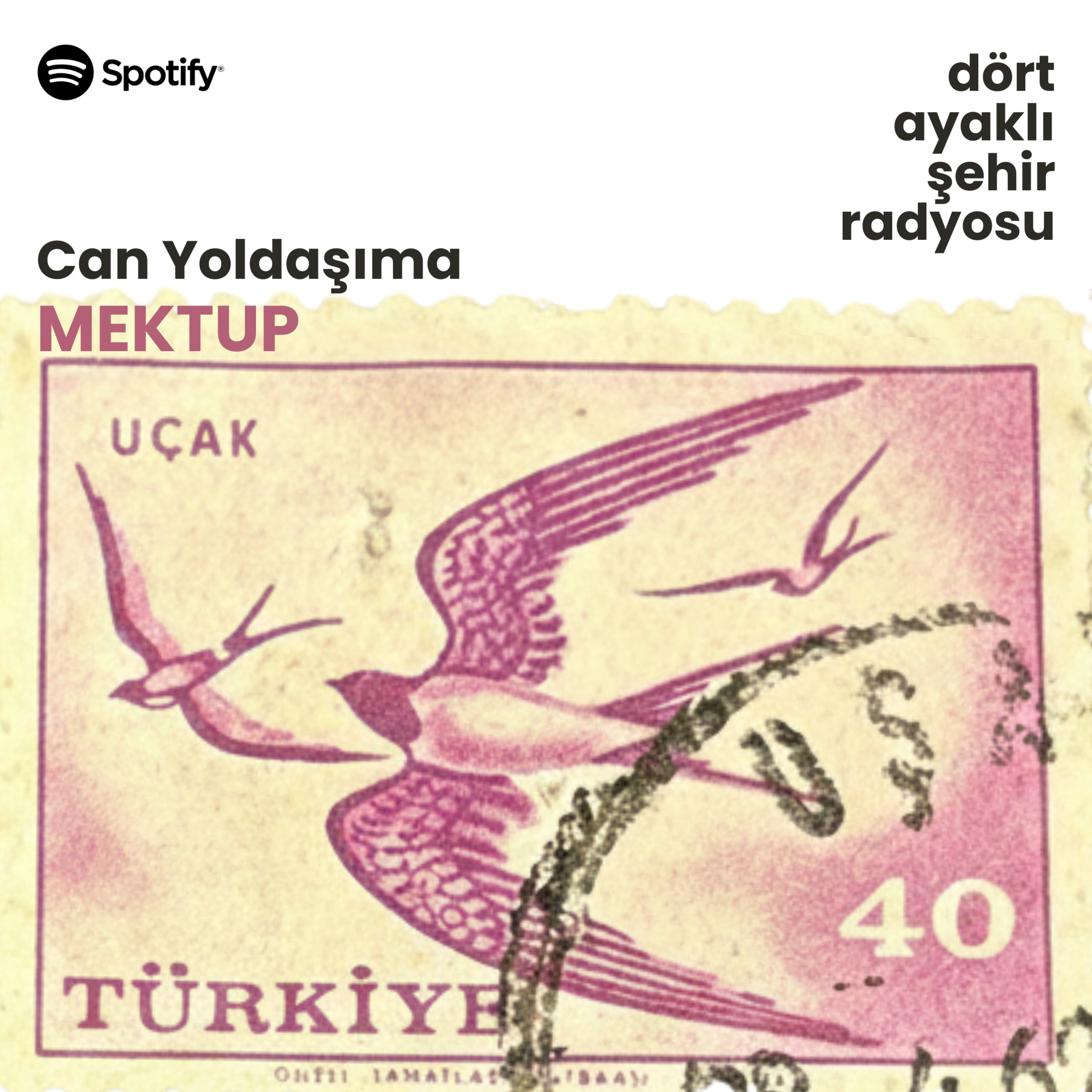Can Yoldaşıma Mektup | Elif Gökteke'nin Çakal'a Mektubu episode artwork