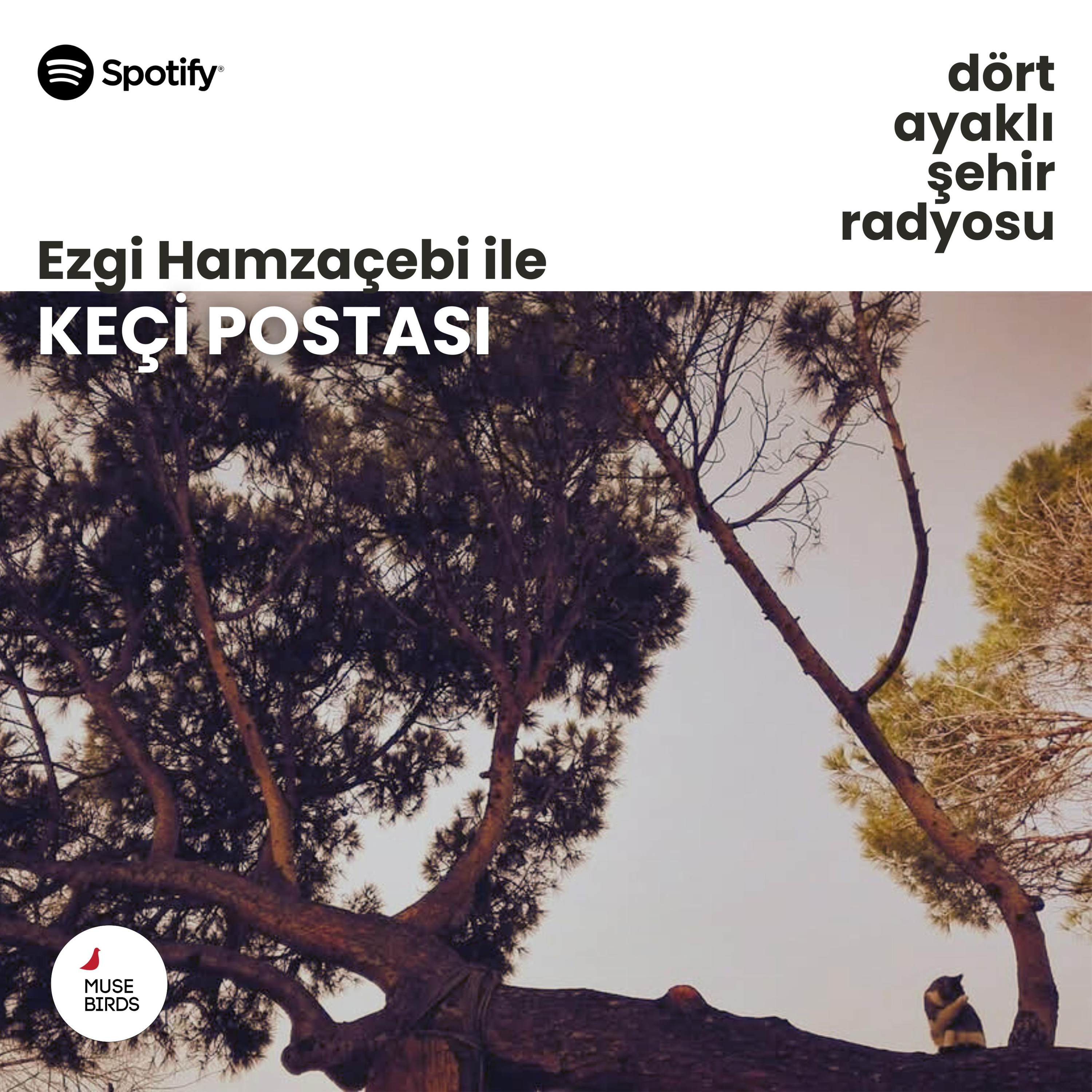 Keçi Postası - Ezgi Hamzaçebi | Hayvan/Yaşam ve Canavarların Vaatleri episode artwork