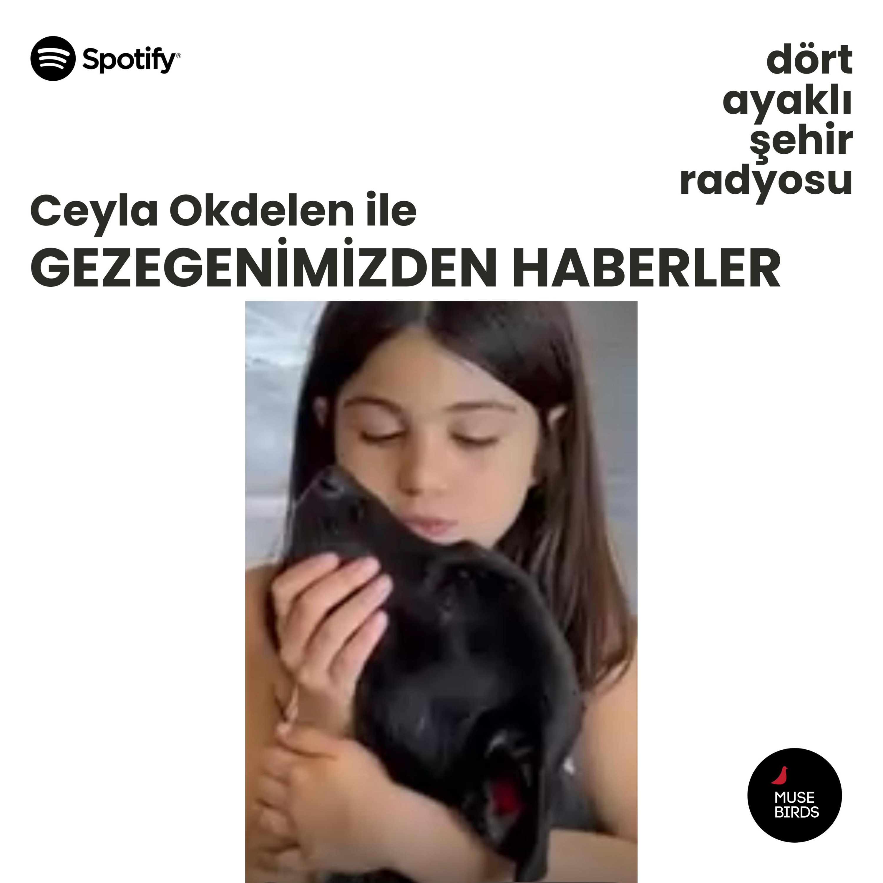 Gezegenimizden Haberler - Ceyla Okdelen | Hayvanlara Zarar Vermeyen Ürünler episode artwork