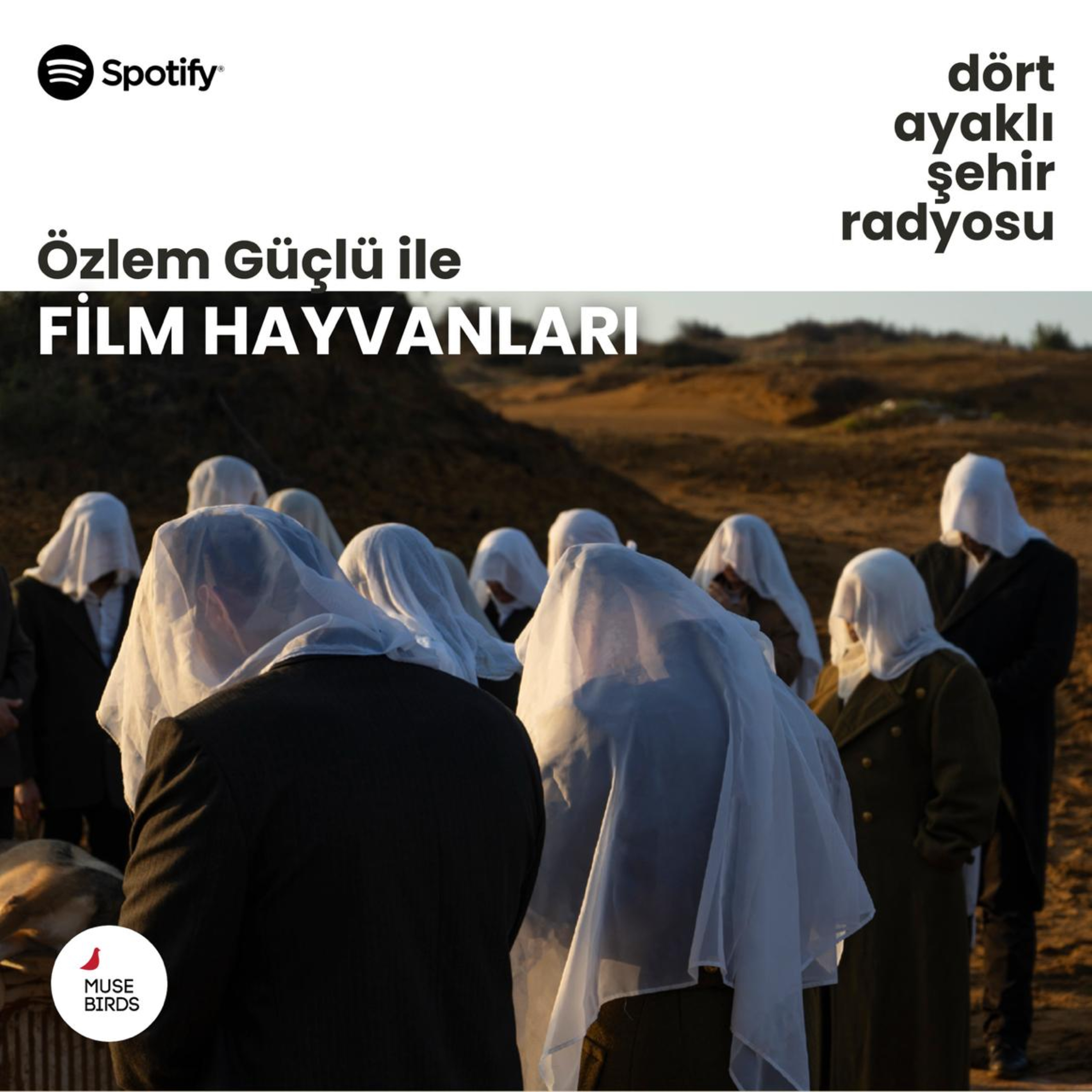 Film Hayvanları - Özlem Güçlü | Köpeğin Cenazesi episode artwork