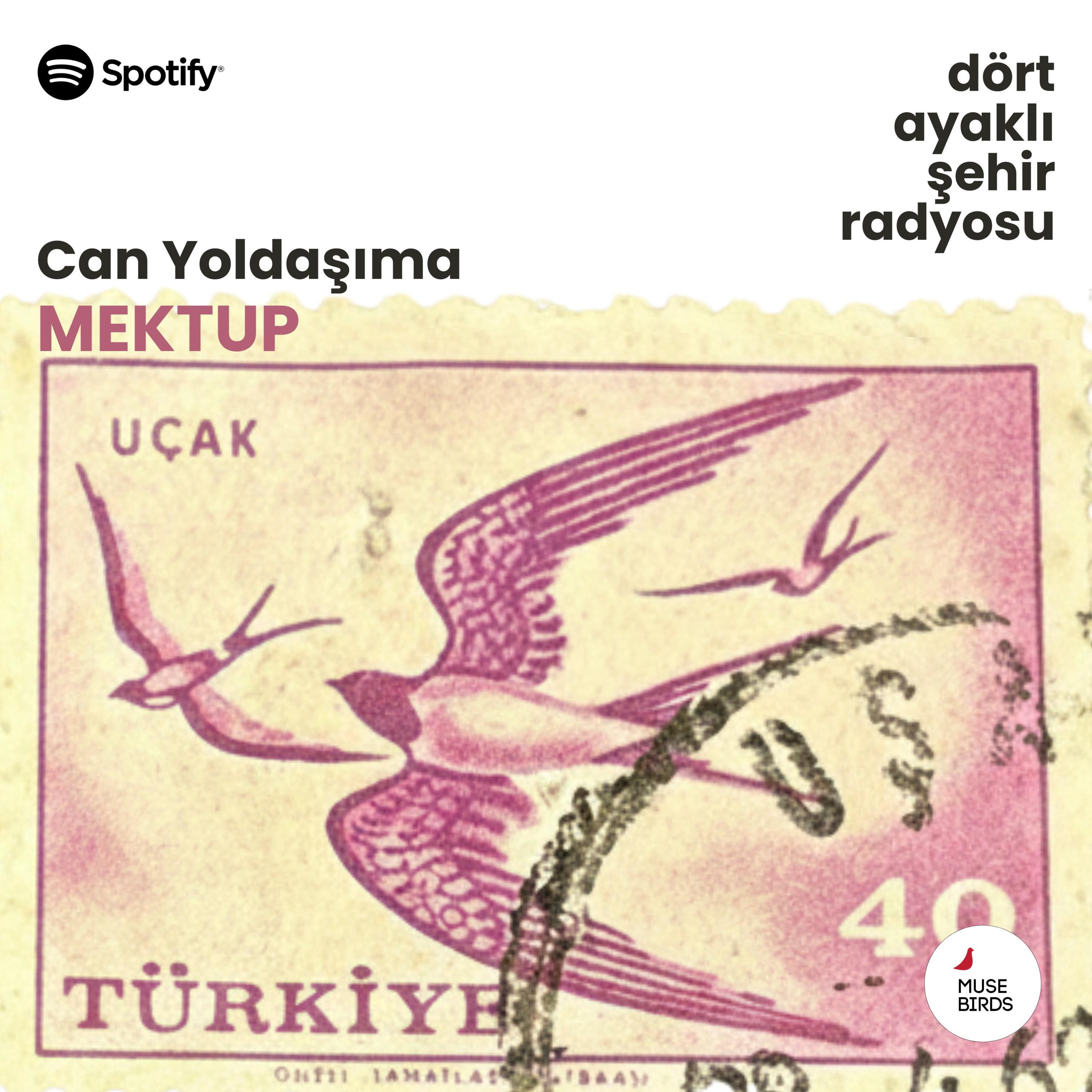 Can Yoldaşıma Mektup | Erhan Ceylan’ın  Kohen’e mektubu.  episode artwork