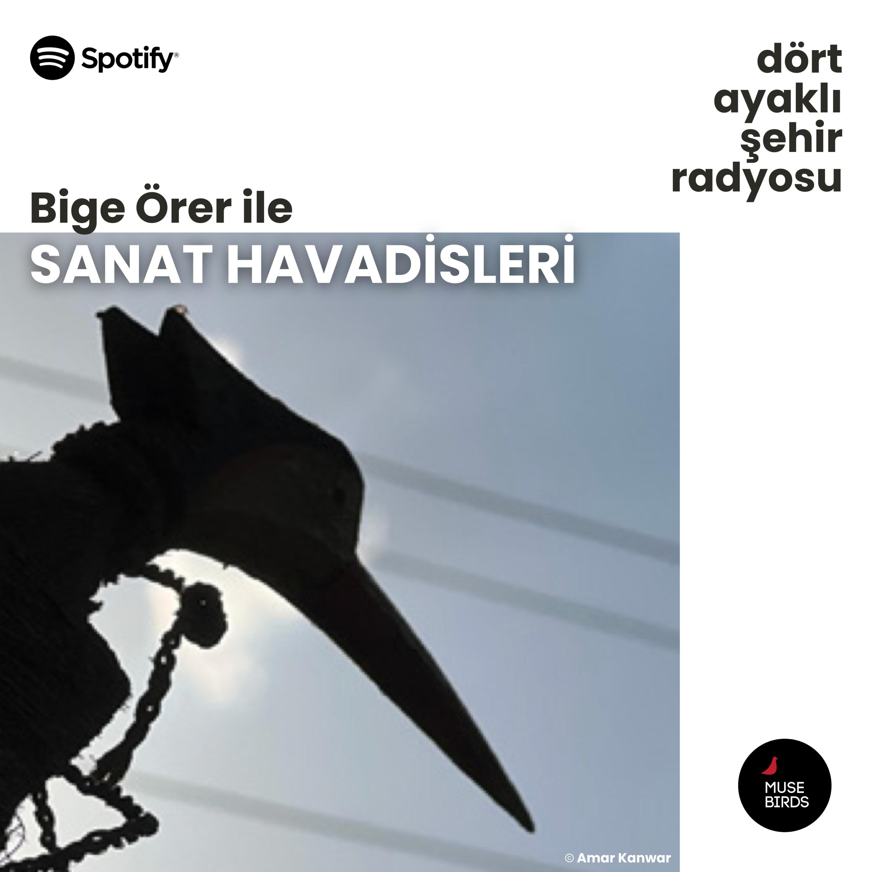 Sanat Havadisleri - Bige Örer | Özlem Günyol ve Mustafa Kunt'la Beraber episode artwork