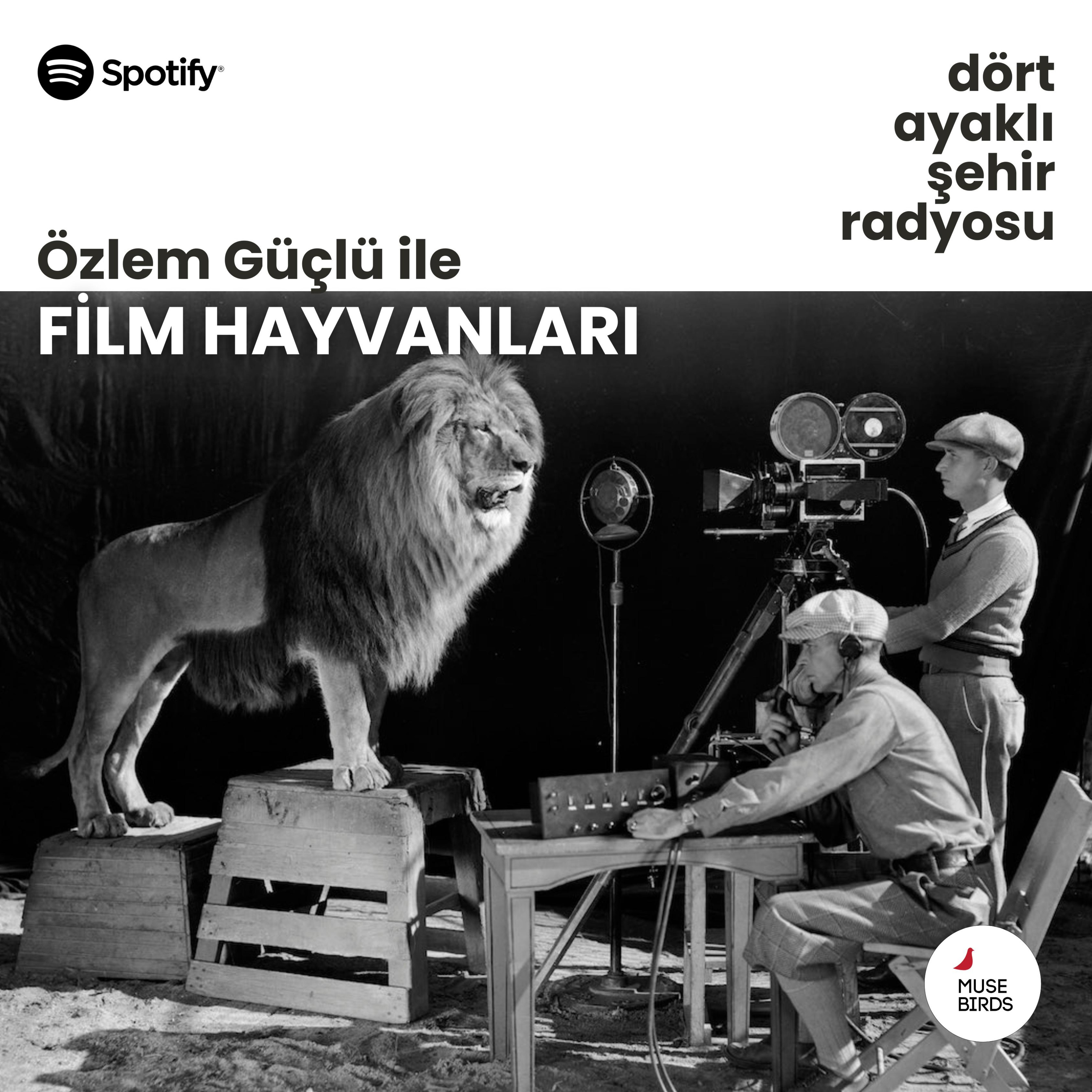 Film Hayvanları - Özlem Güçlü | Sibel Yardımcı’yla Güneyin Canavarları episode artwork