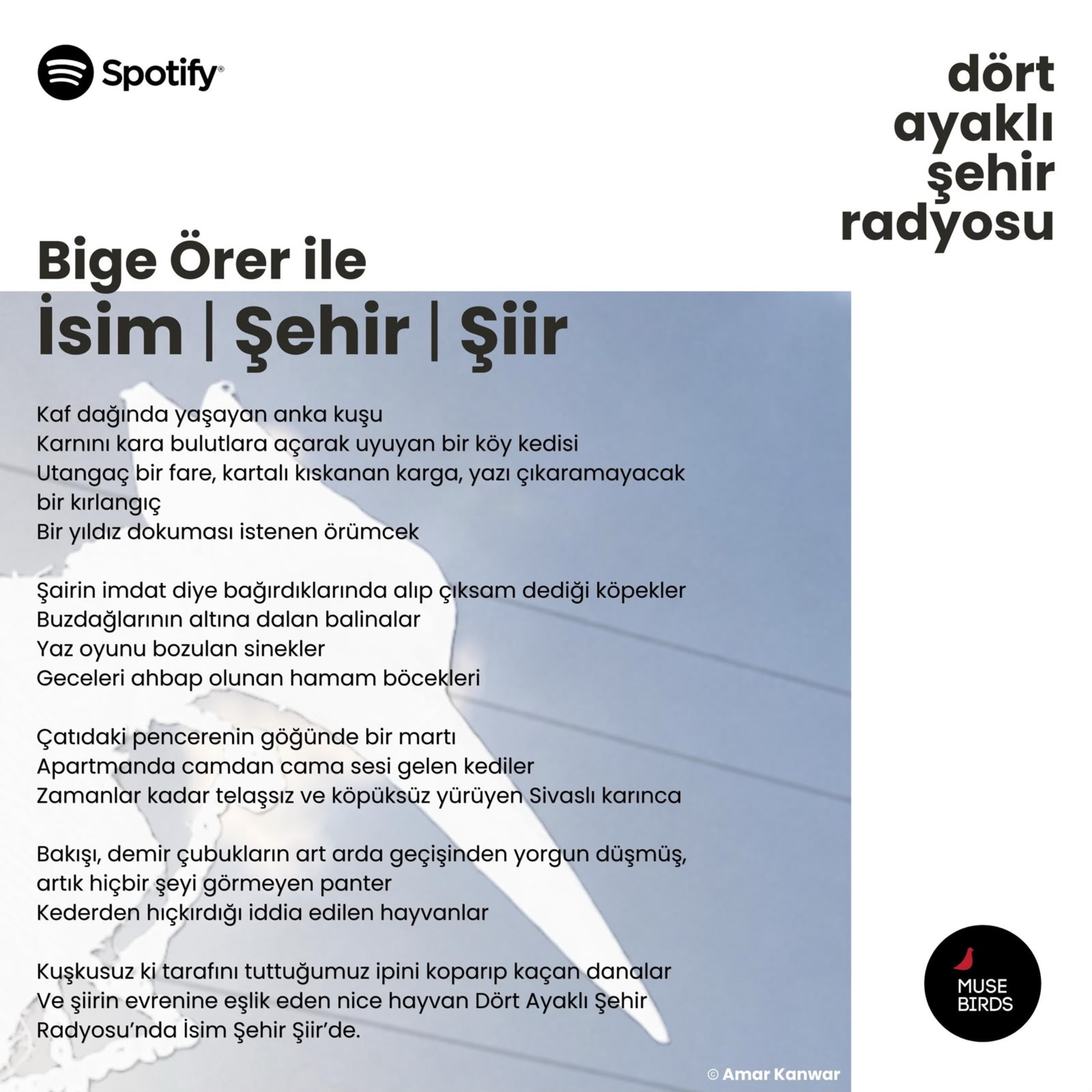 İsim | Şehir | Şiir - Bige Örer - Sunuş episode artwork