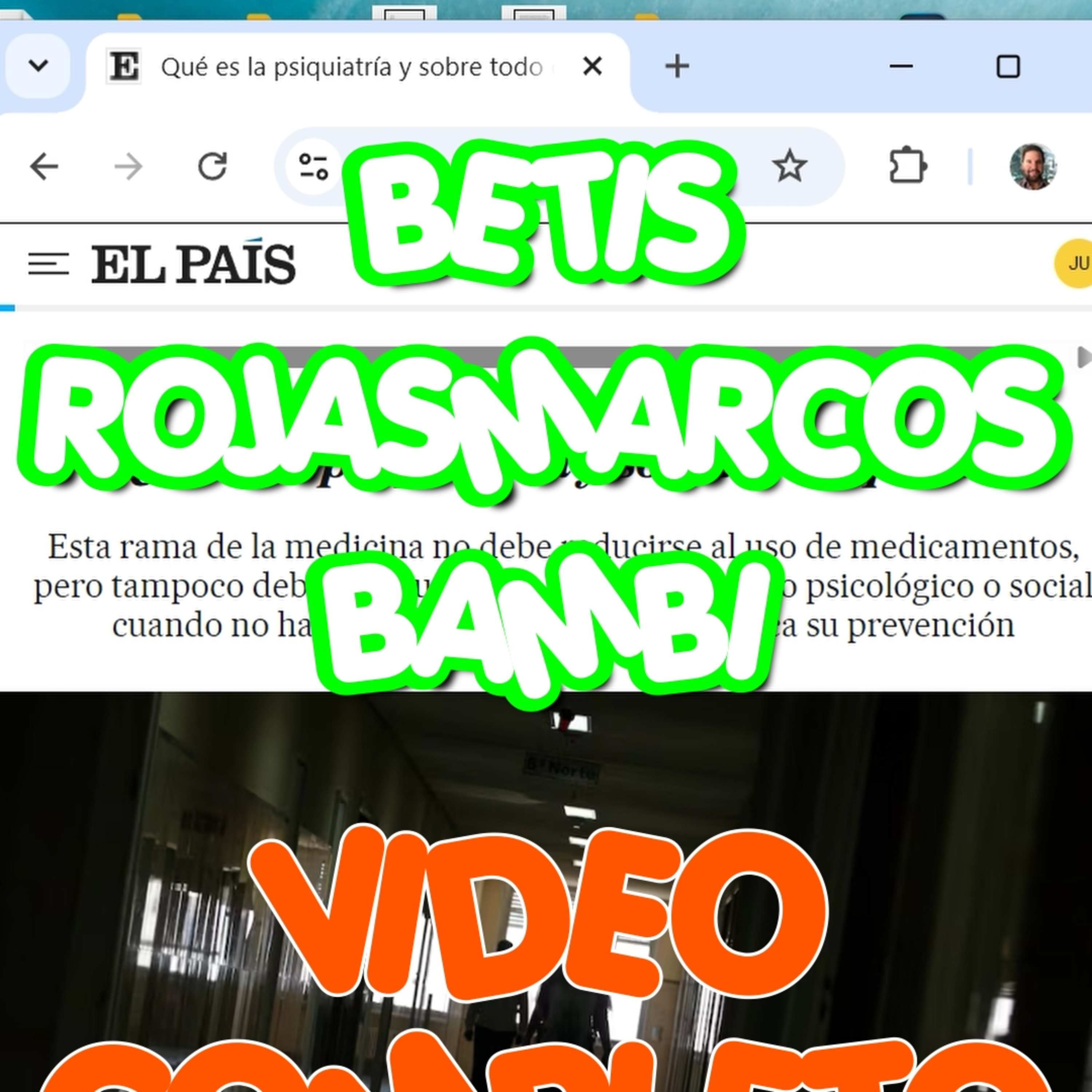 NO MAS PARADOS ELEFANTE EN HABITACION