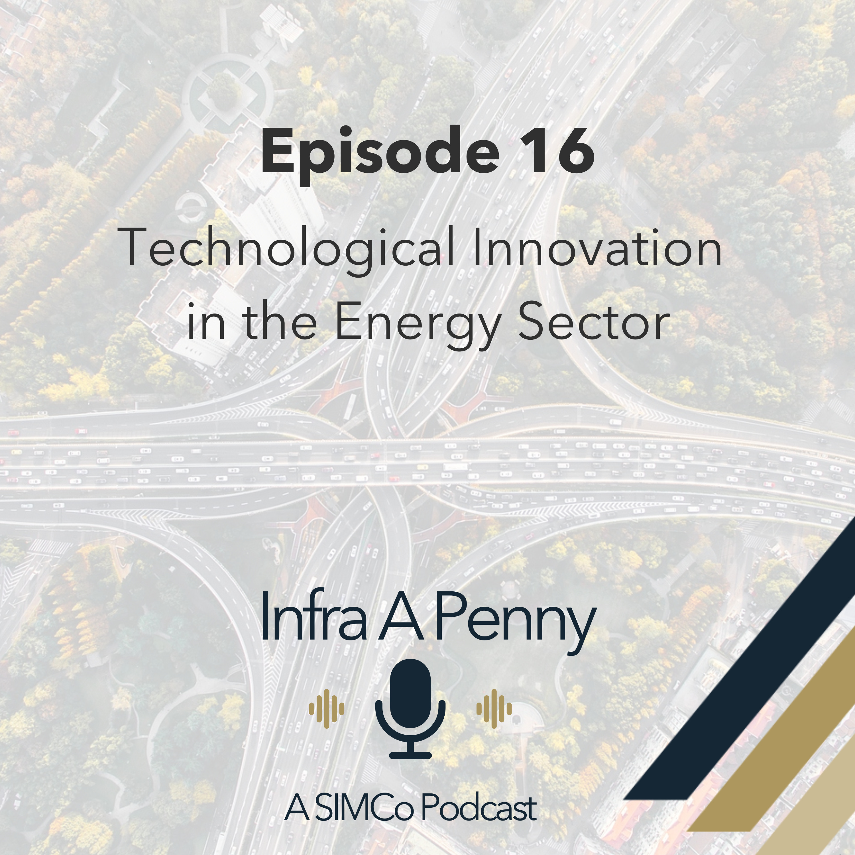 Technological Innovation in the Energy Sector