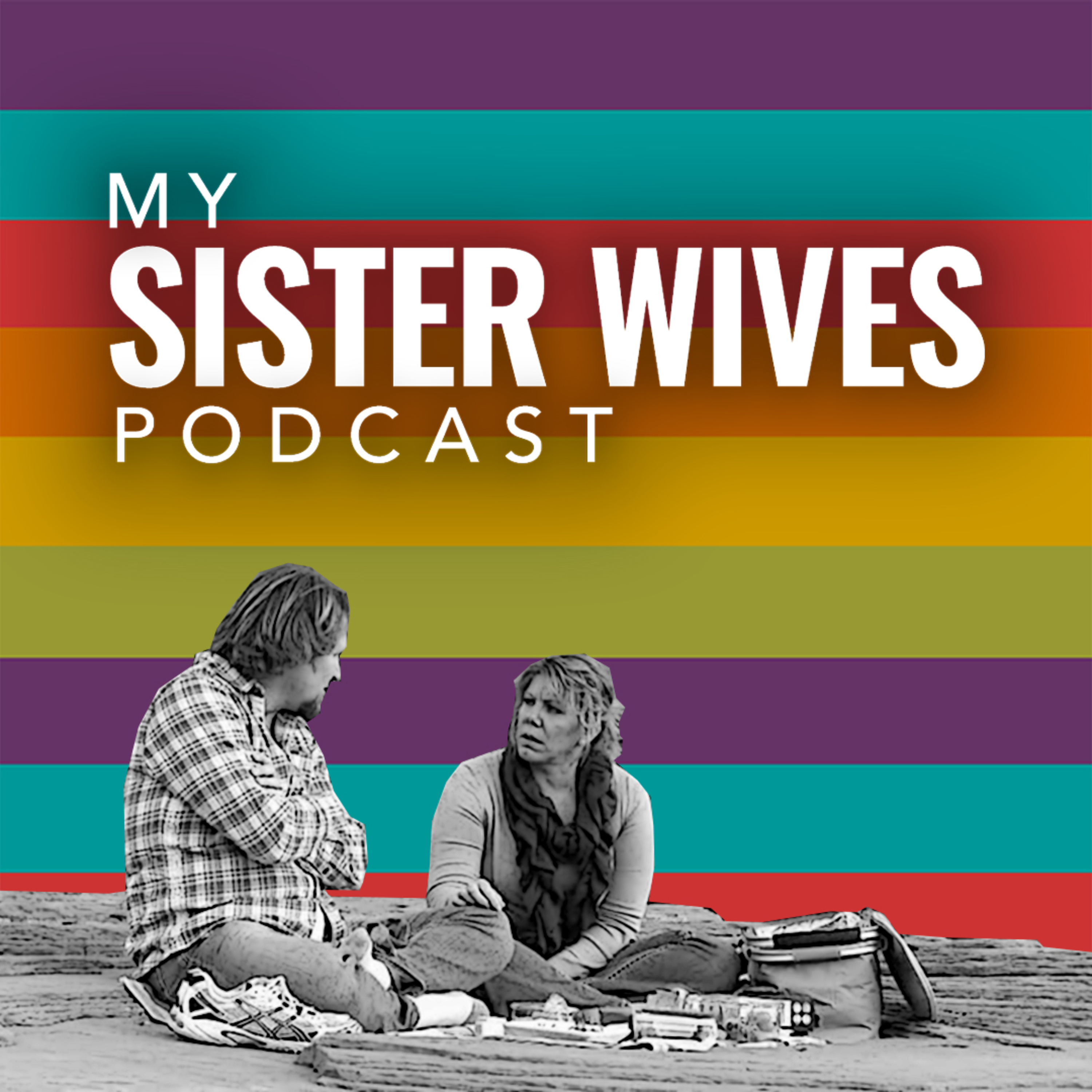 Sister Wives S6 E8 - A Wife Decides episode artwork