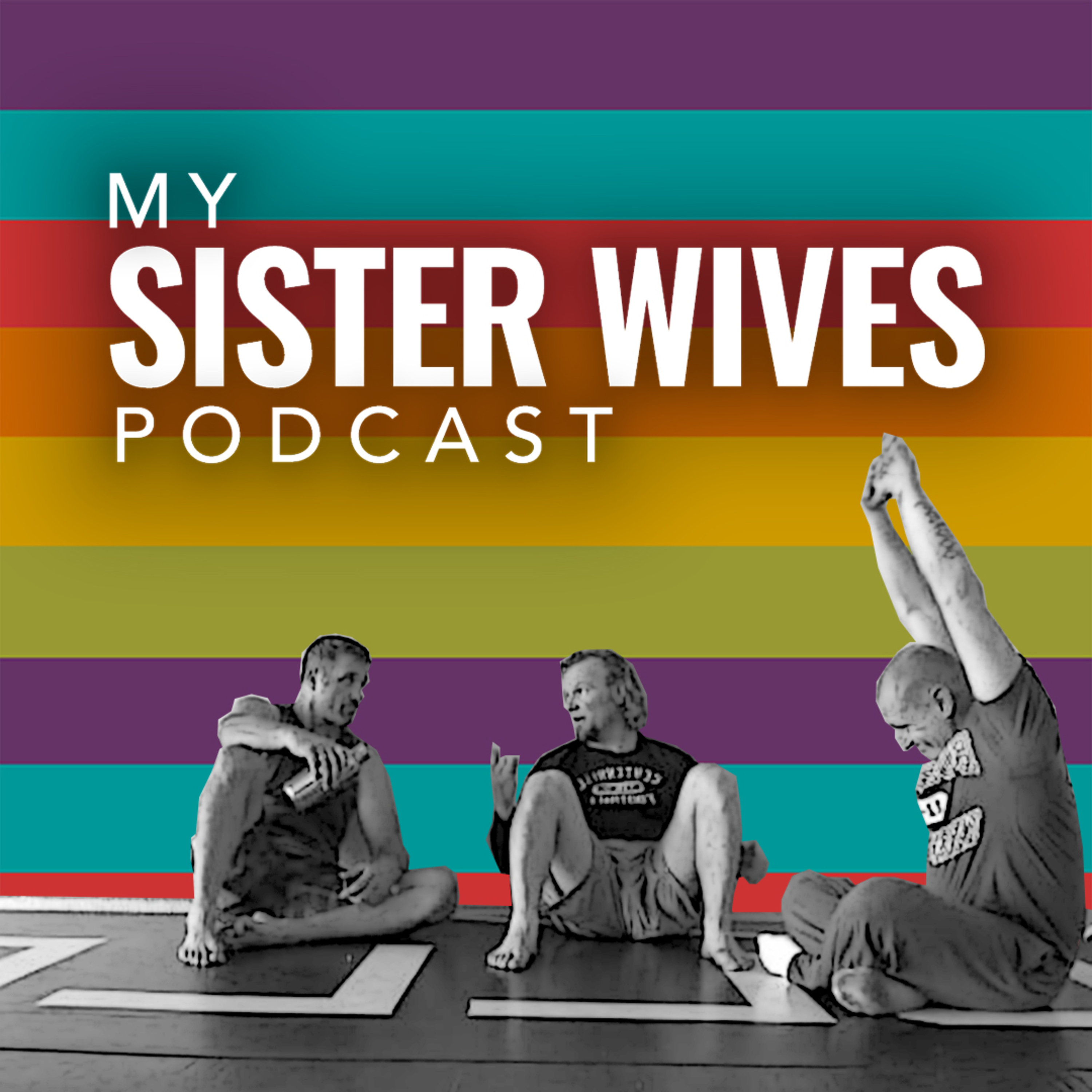 Sister Wives S6 E13 - Boys Night Out episode artwork
