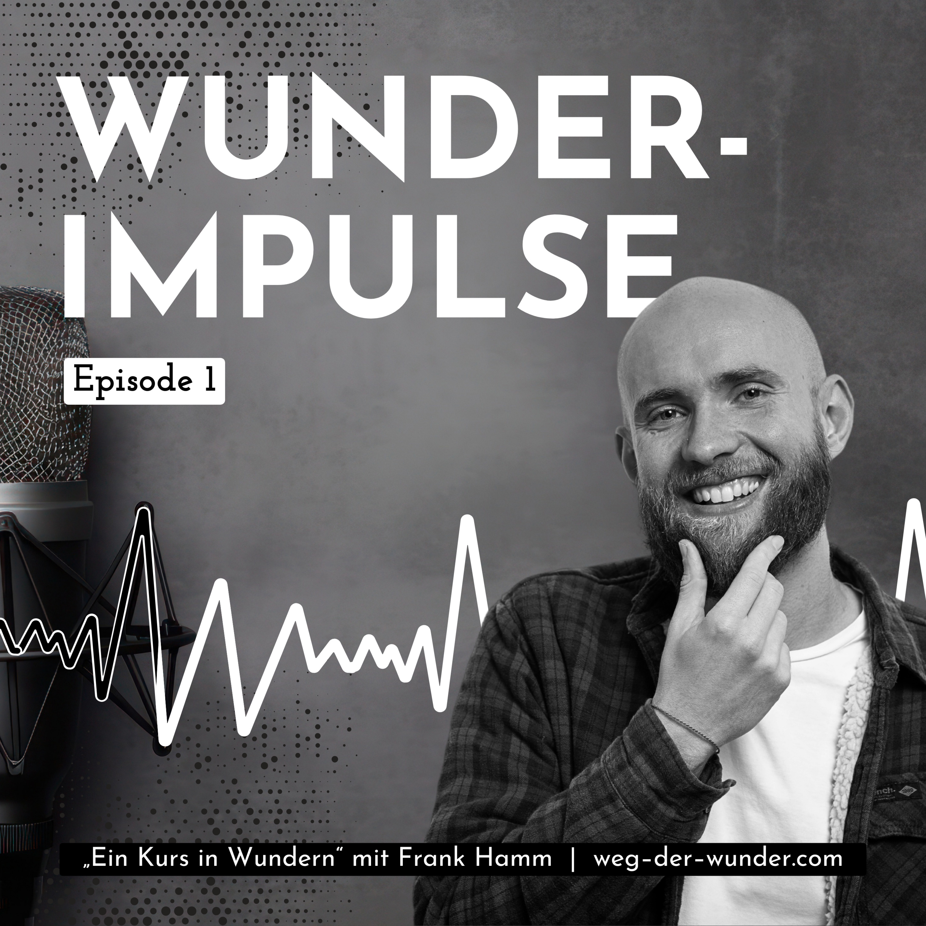 Wunderimpulse – Ein Podcast mit Frank Hamm episode artwork