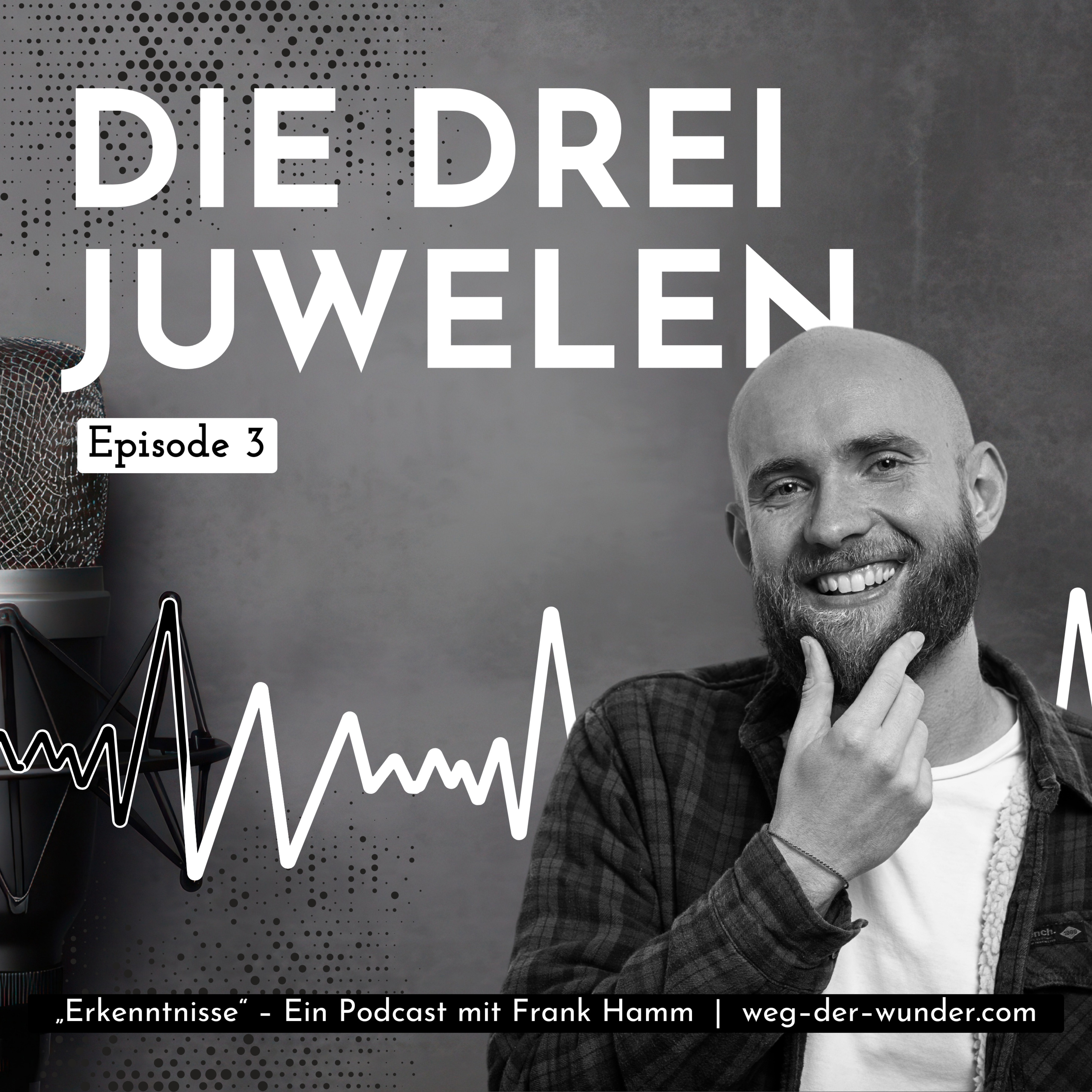 Die drei Juwelen 💎 – Ein Podcast mit Frank Hamm episode artwork