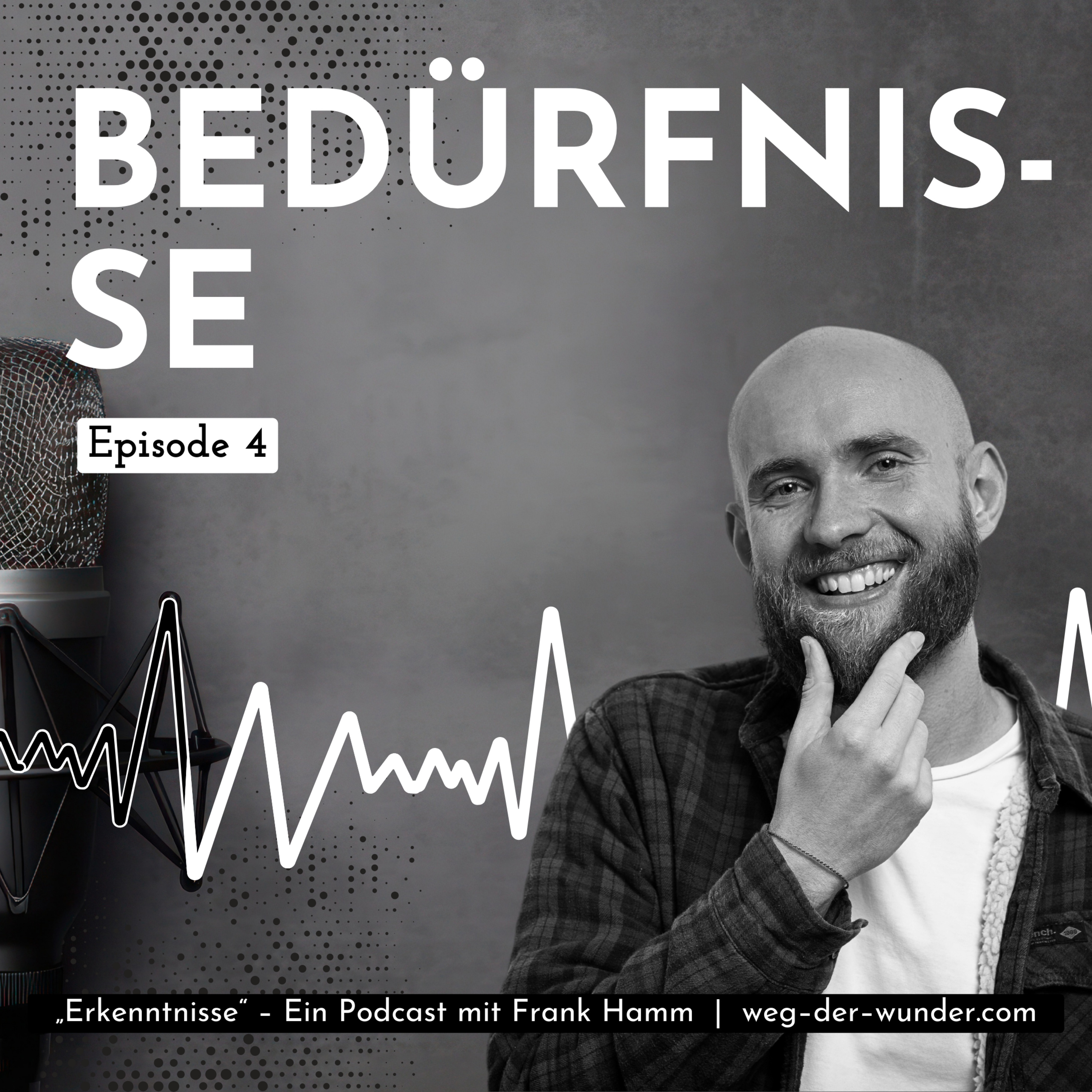 Bedürfnisse – Ein Podcast mit Frank Hamm episode artwork