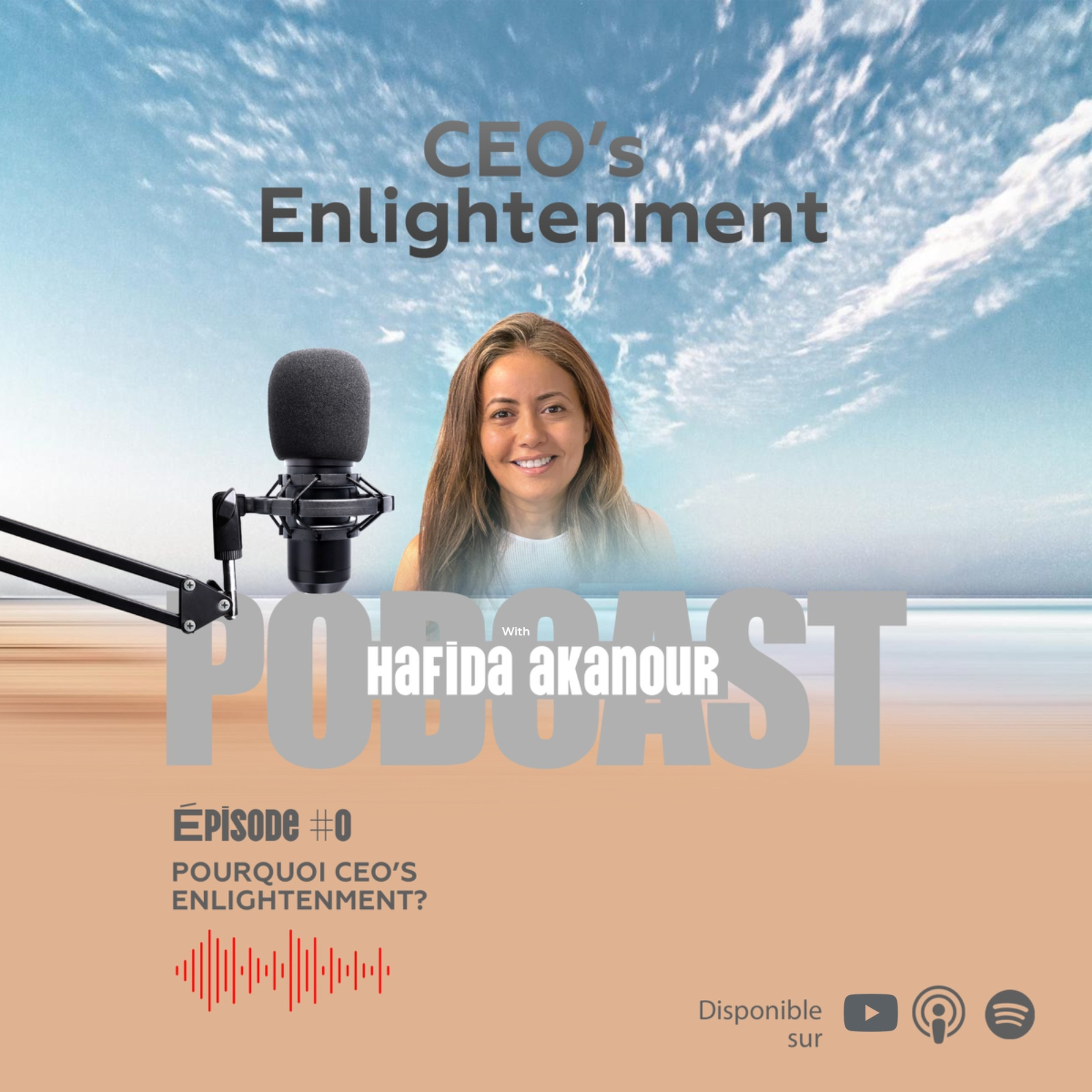 CEO\'s Enlightenment